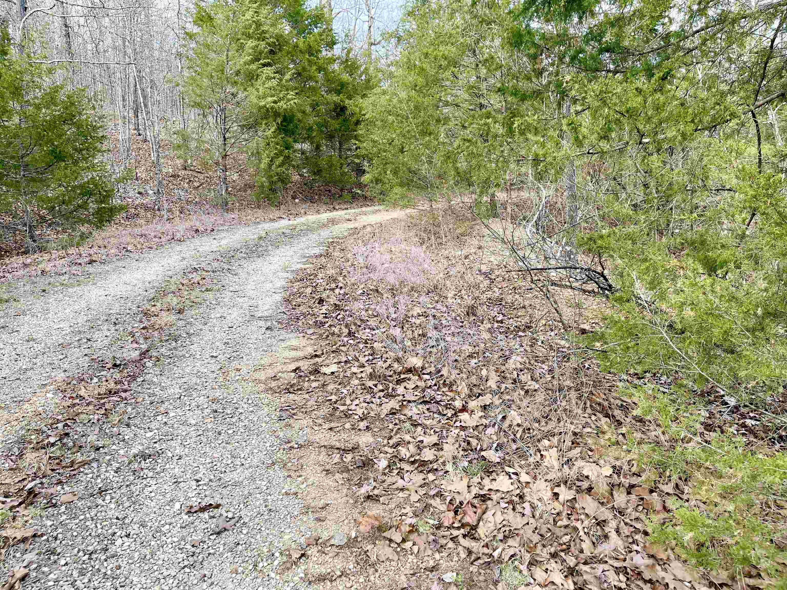 0 Coweta Drive Property Photo 4