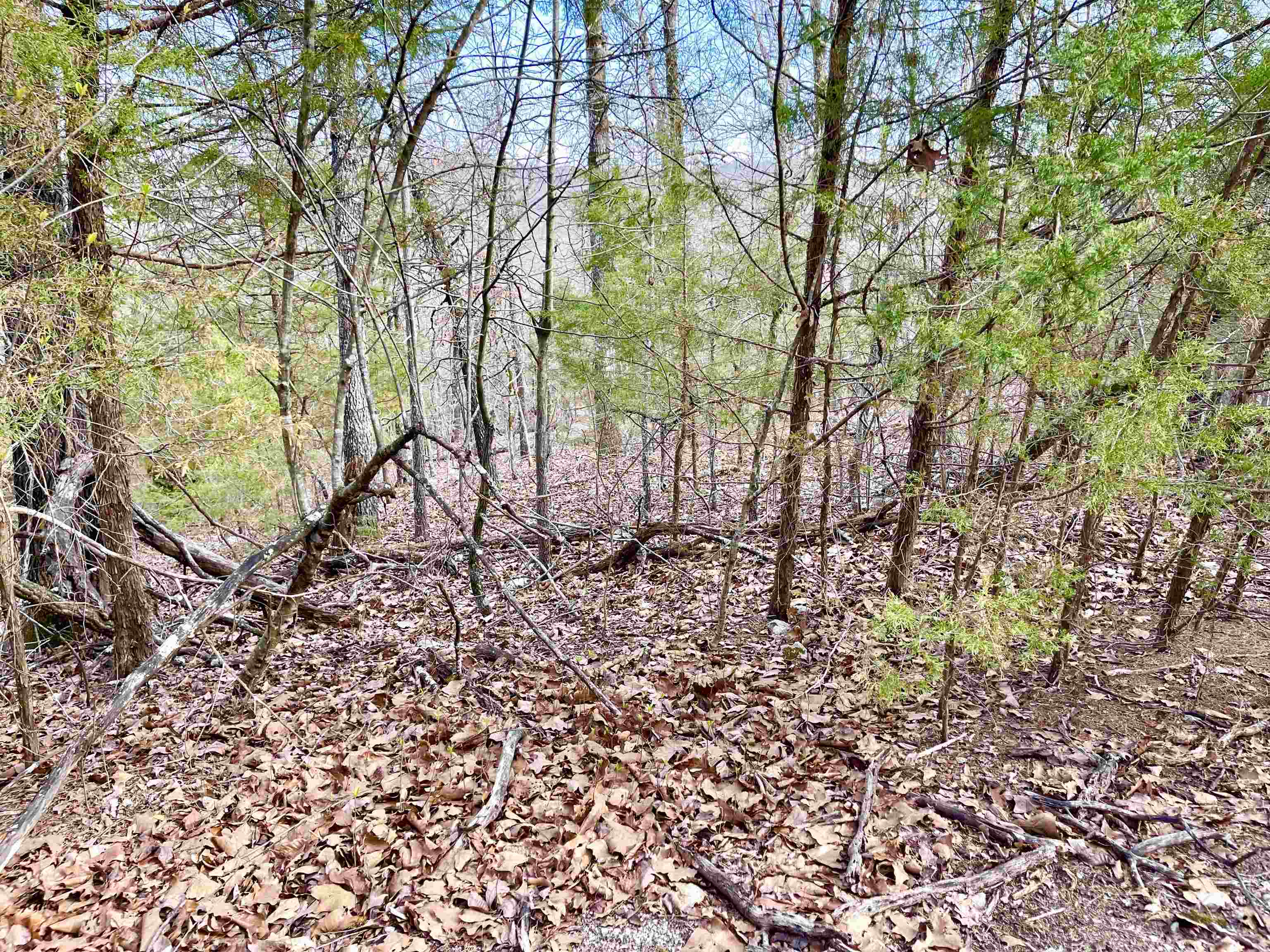 0 Coweta Drive Property Photo 5