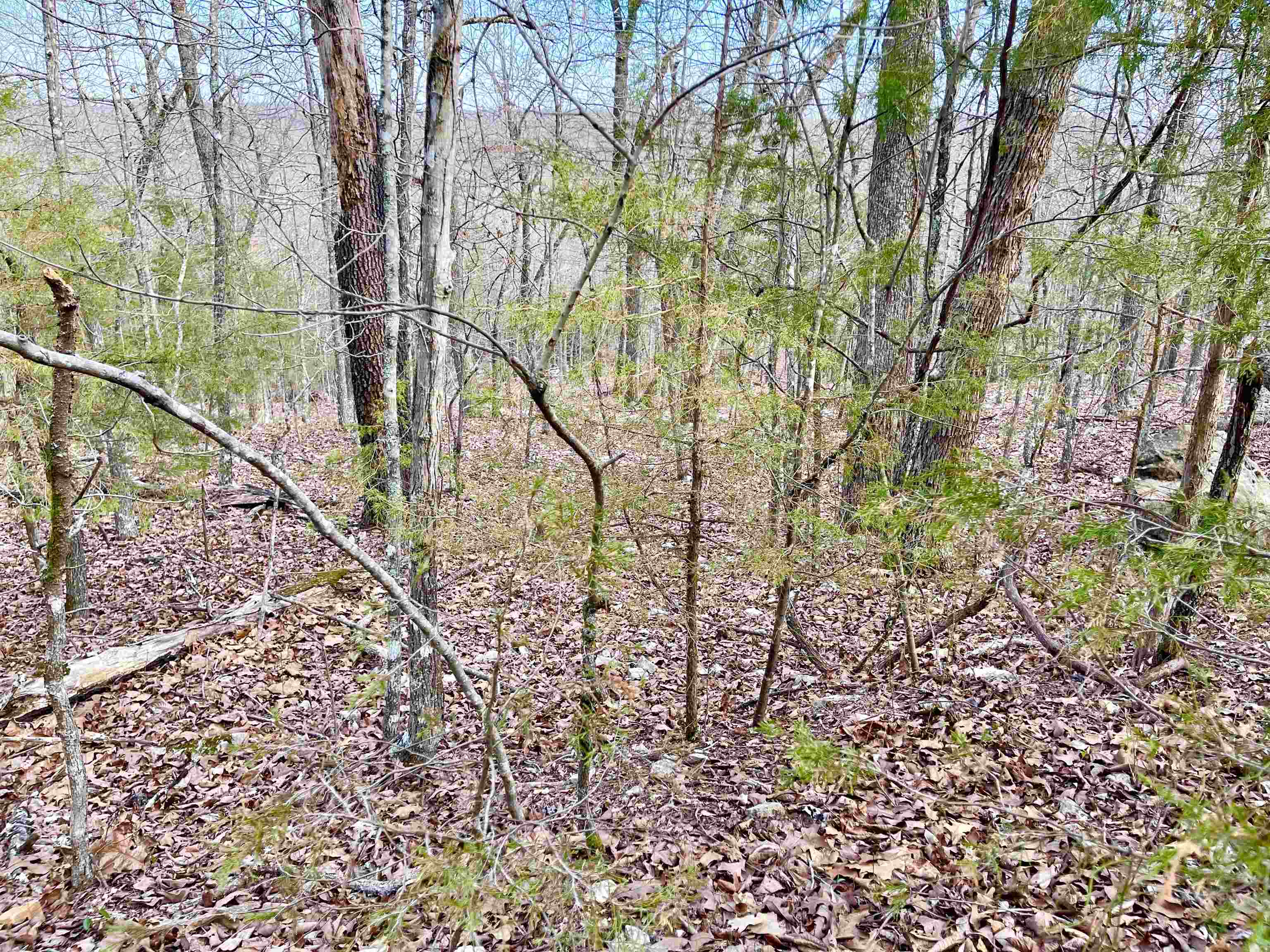 0 Coweta Drive Property Photo 10