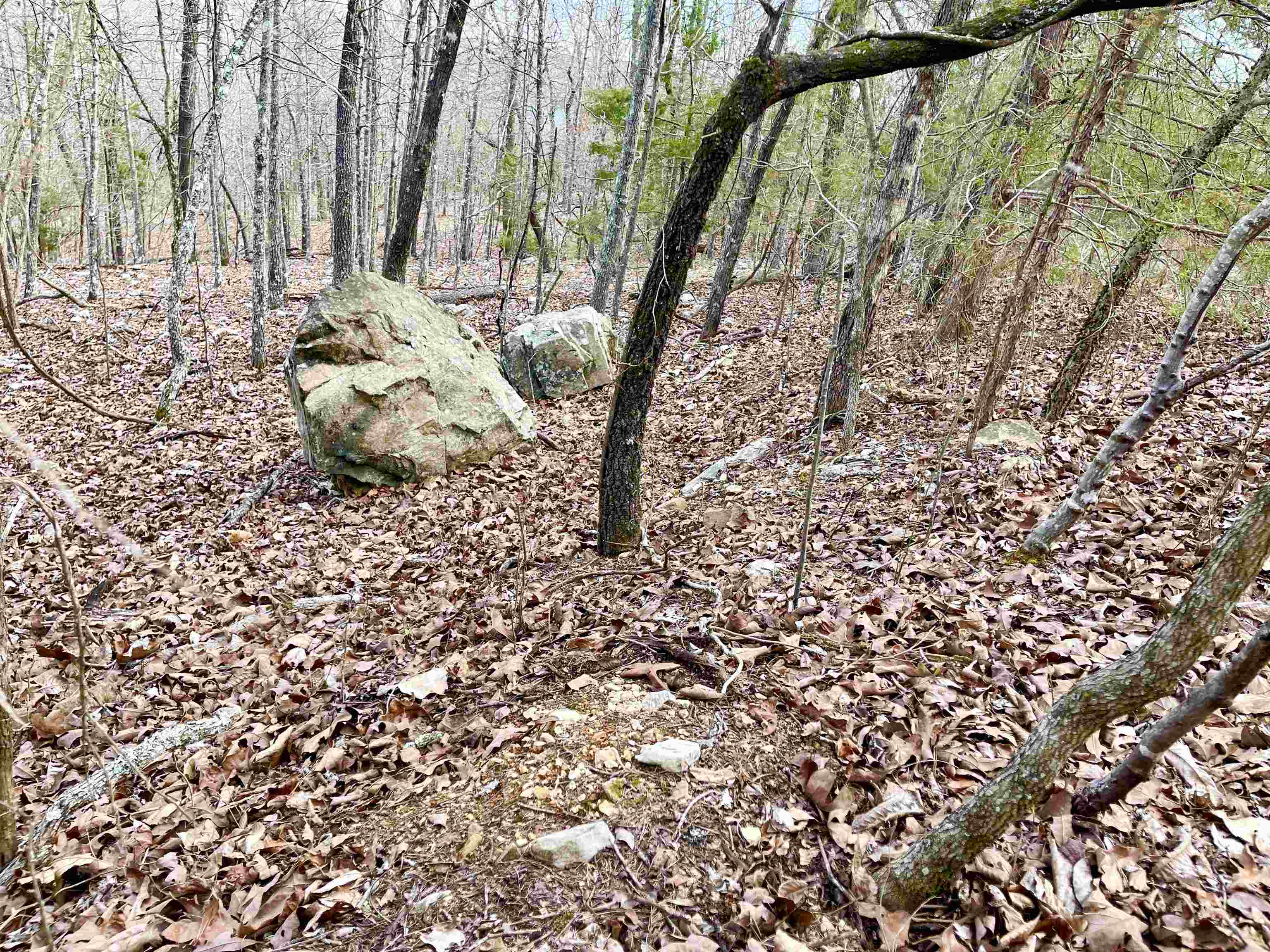 0 Coweta Drive Property Photo 12