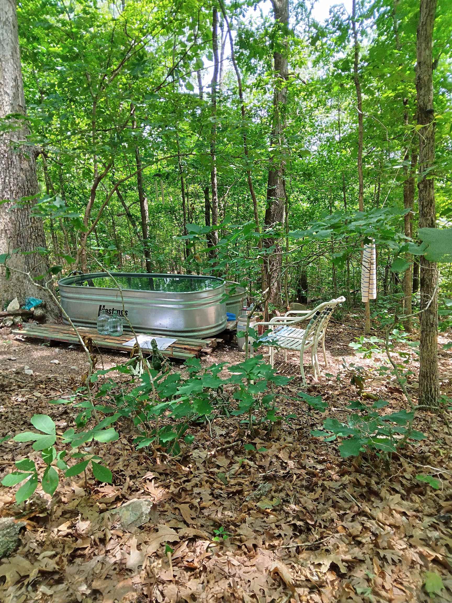 8329 Nine Mile Ridge Road Property Photo 7