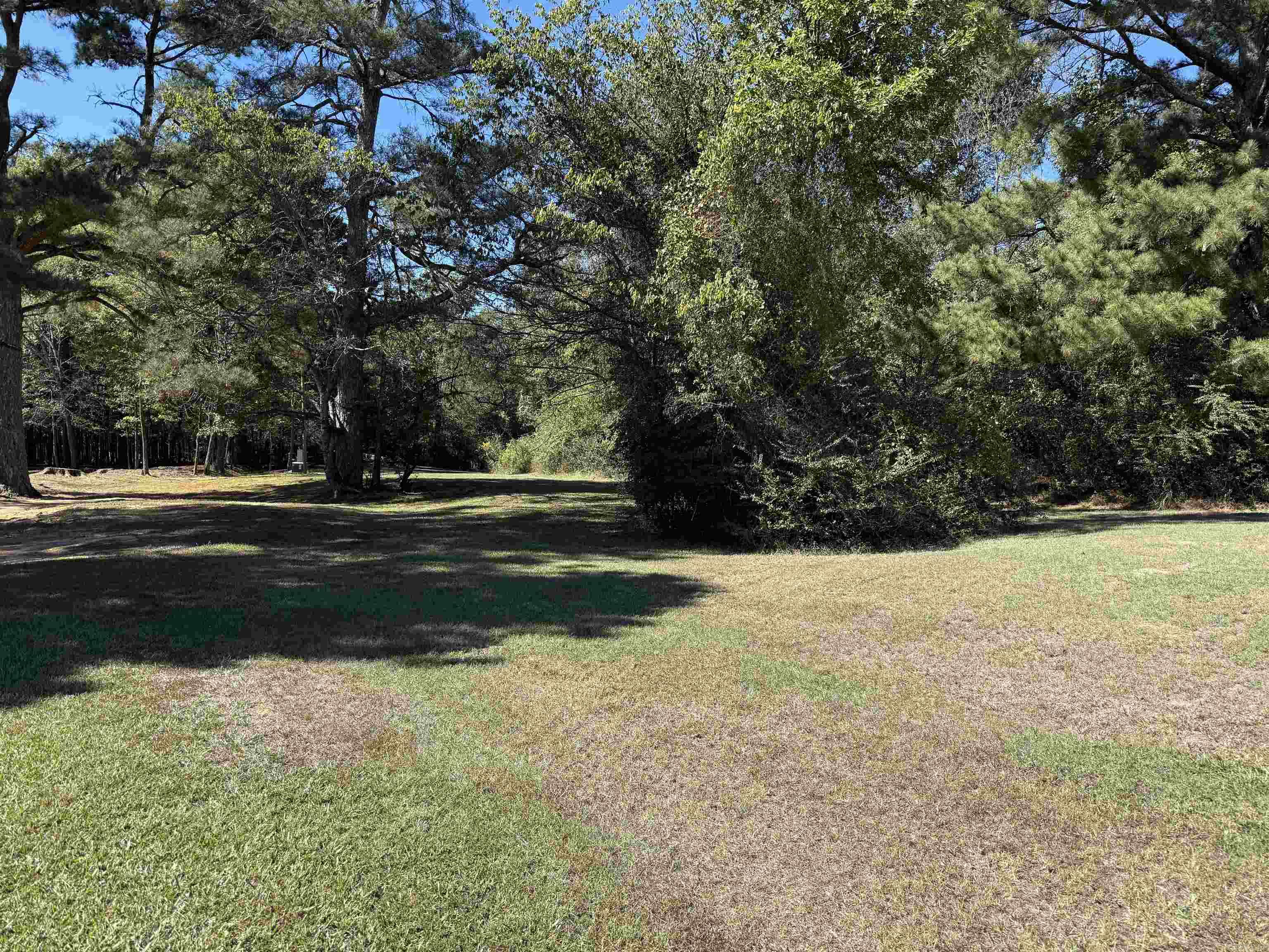 207 Hosey Lane Property Photo 4