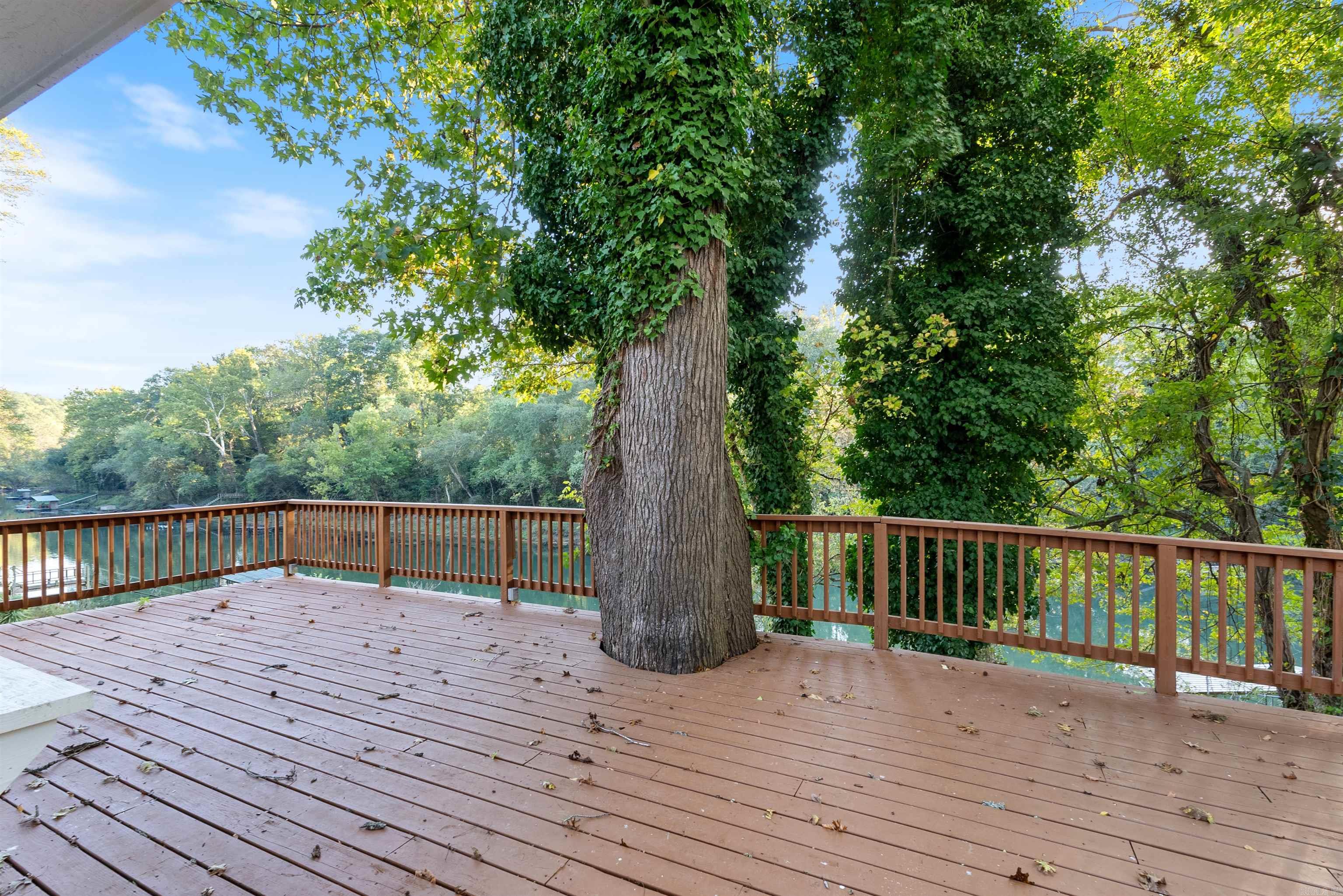 936 Cooterneck Road Property Photo 43