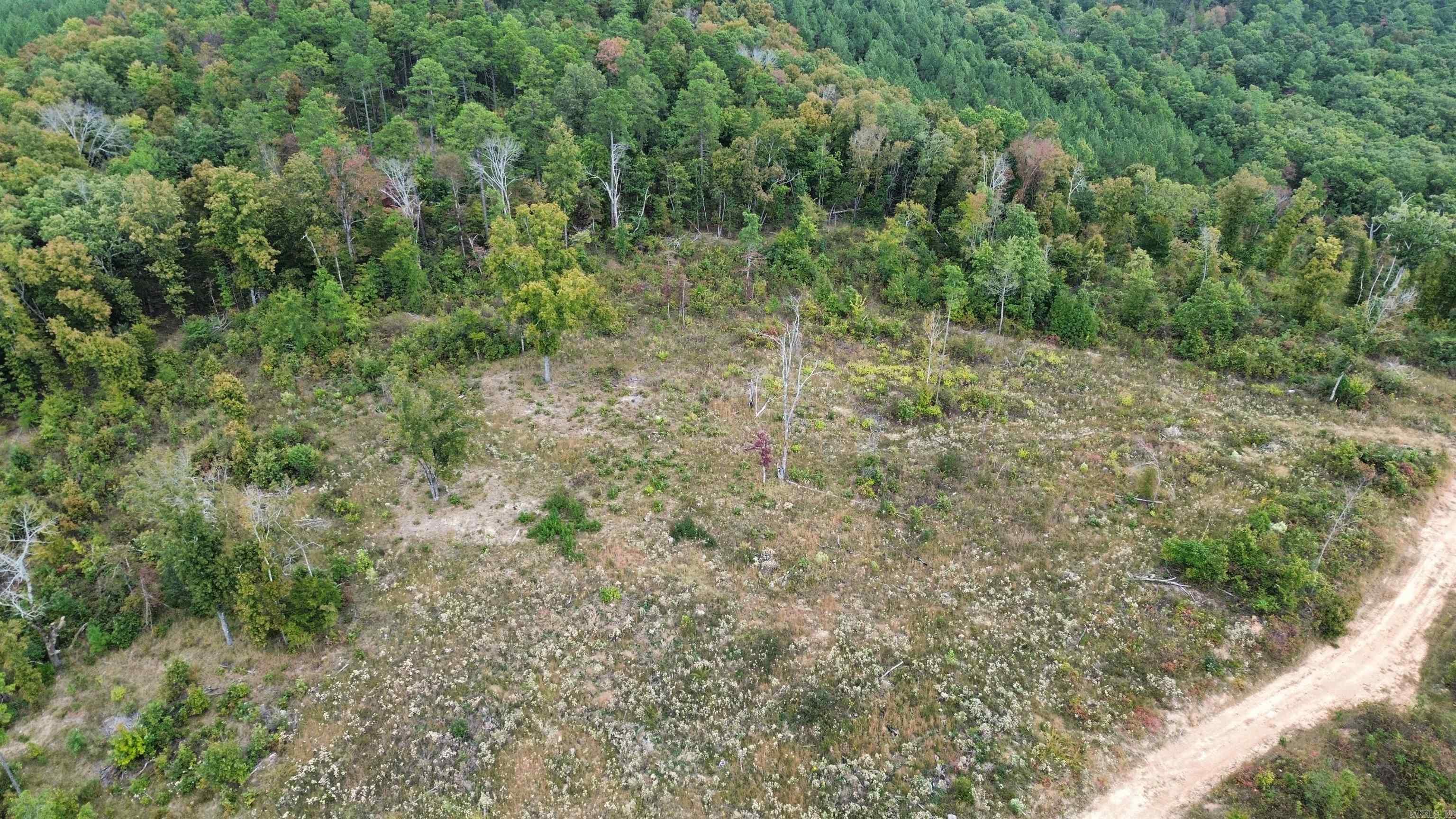 0001 Dodd Mountain Road Property Photo 17
