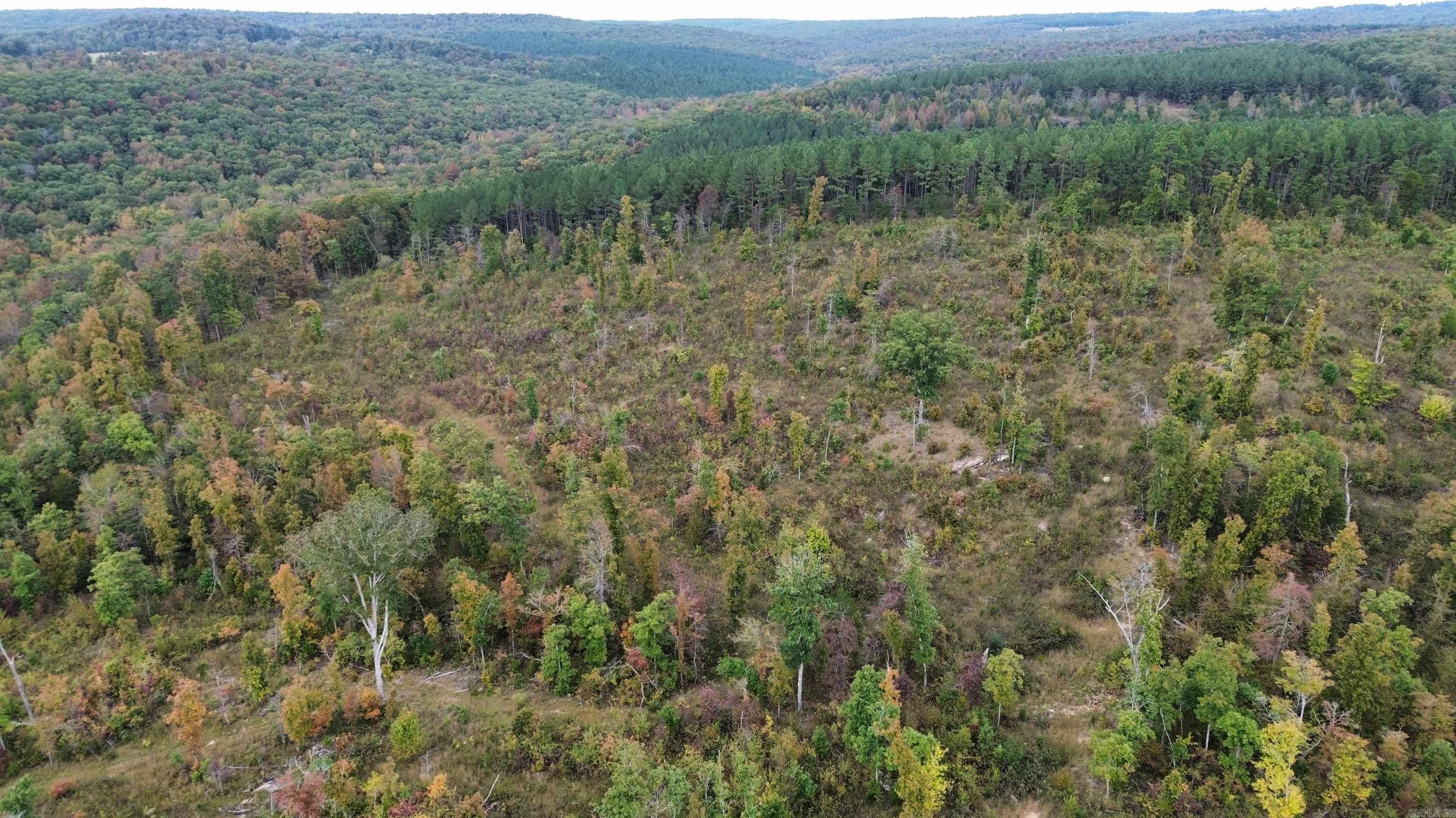 0001 Dodd Mountain Road Property Photo 20