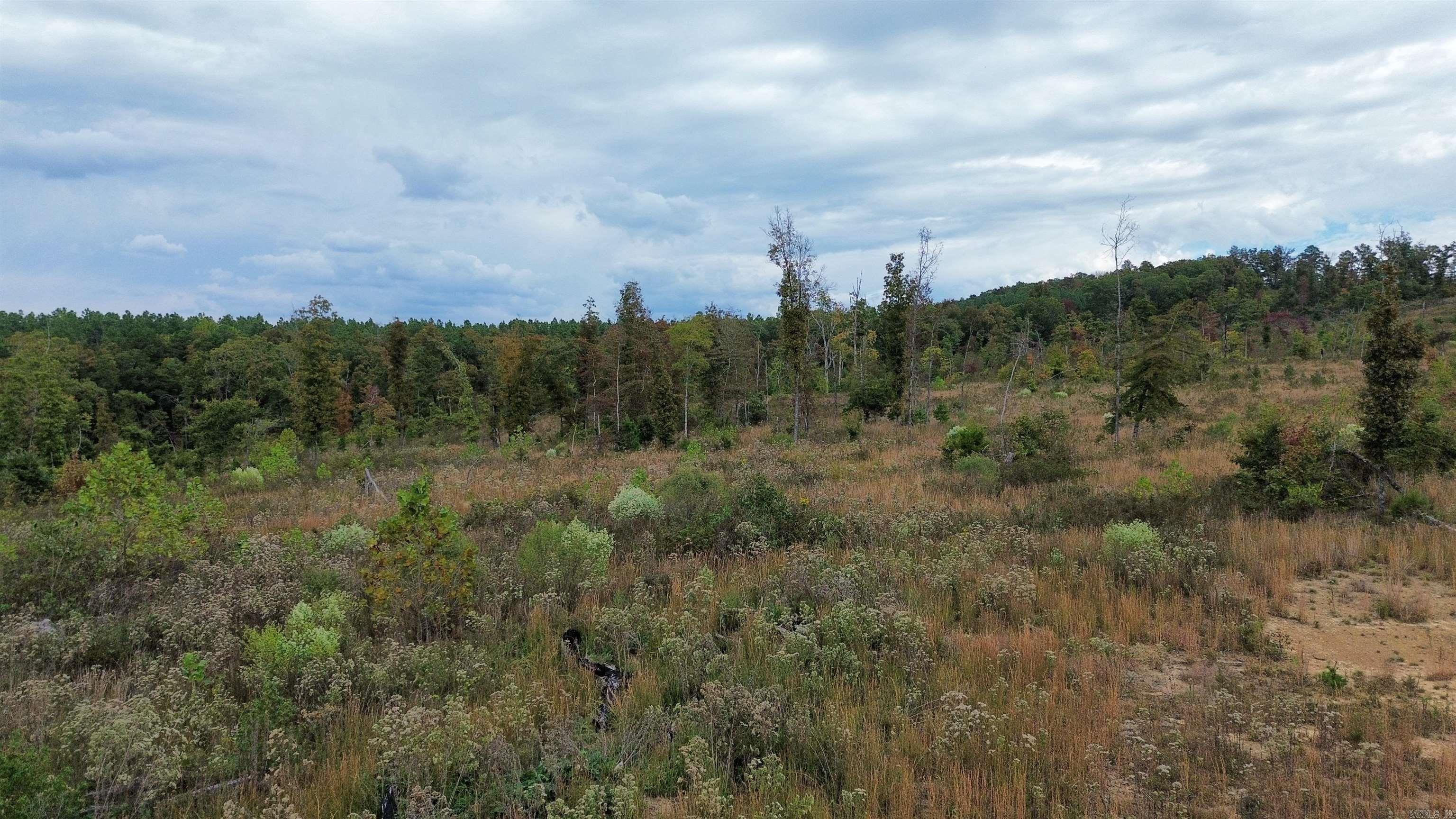 0001 Dodd Mountain Road Property Photo 23