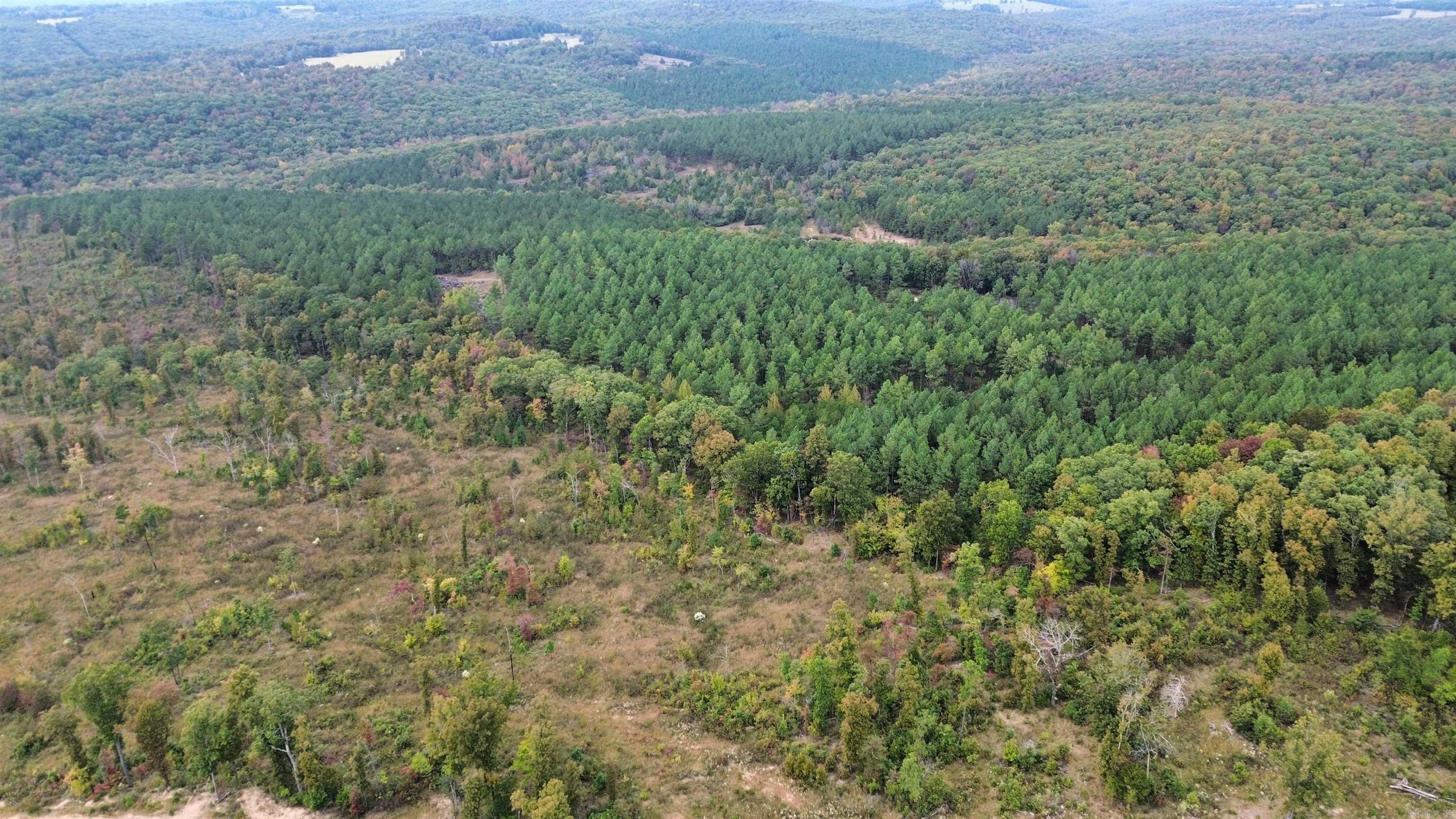 0001 Dodd Mountain Road Property Photo 33