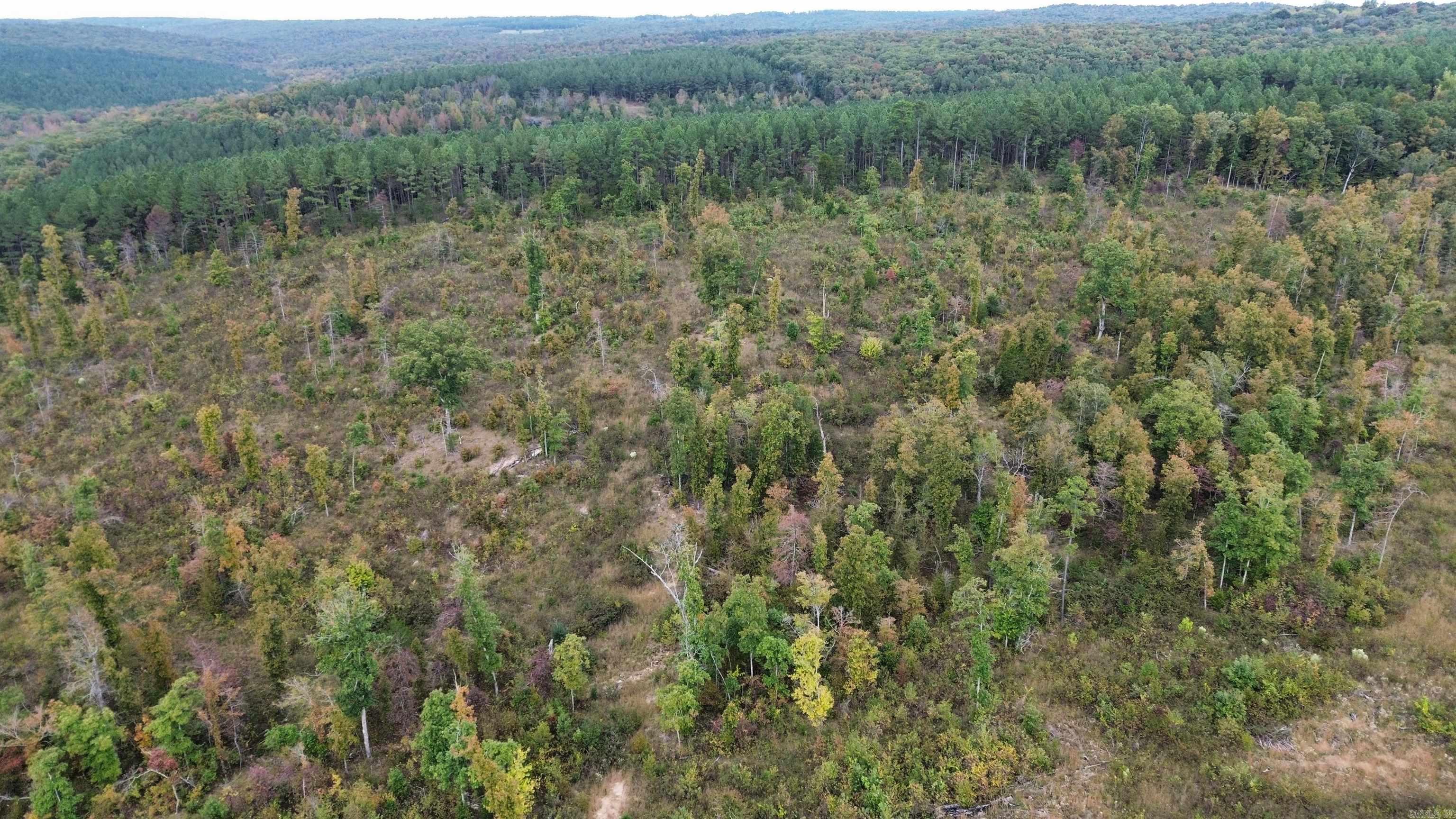 0001 Dodd Mountain Road Property Photo 35