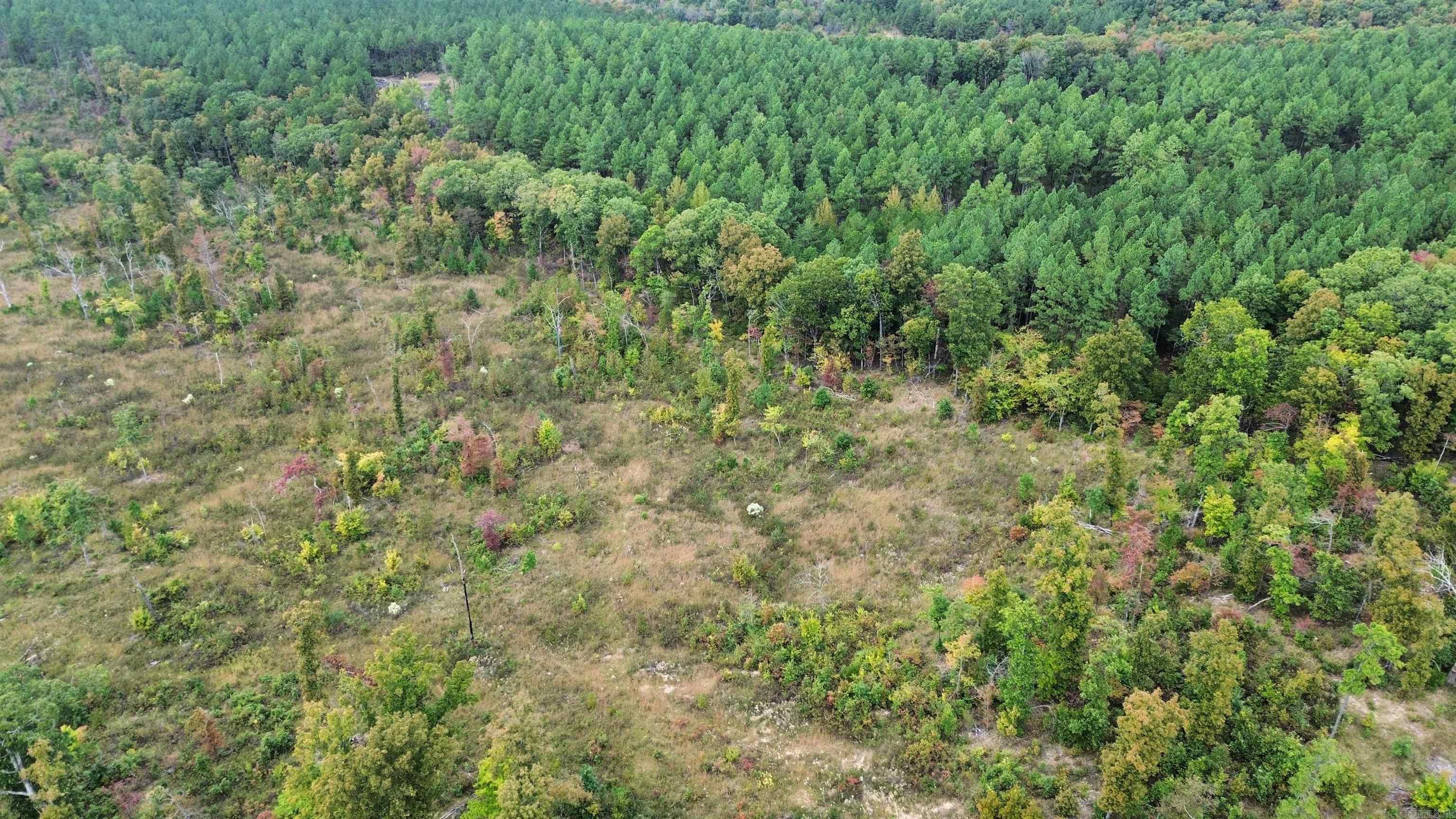 0001 Dodd Mountain Road Property Photo 37