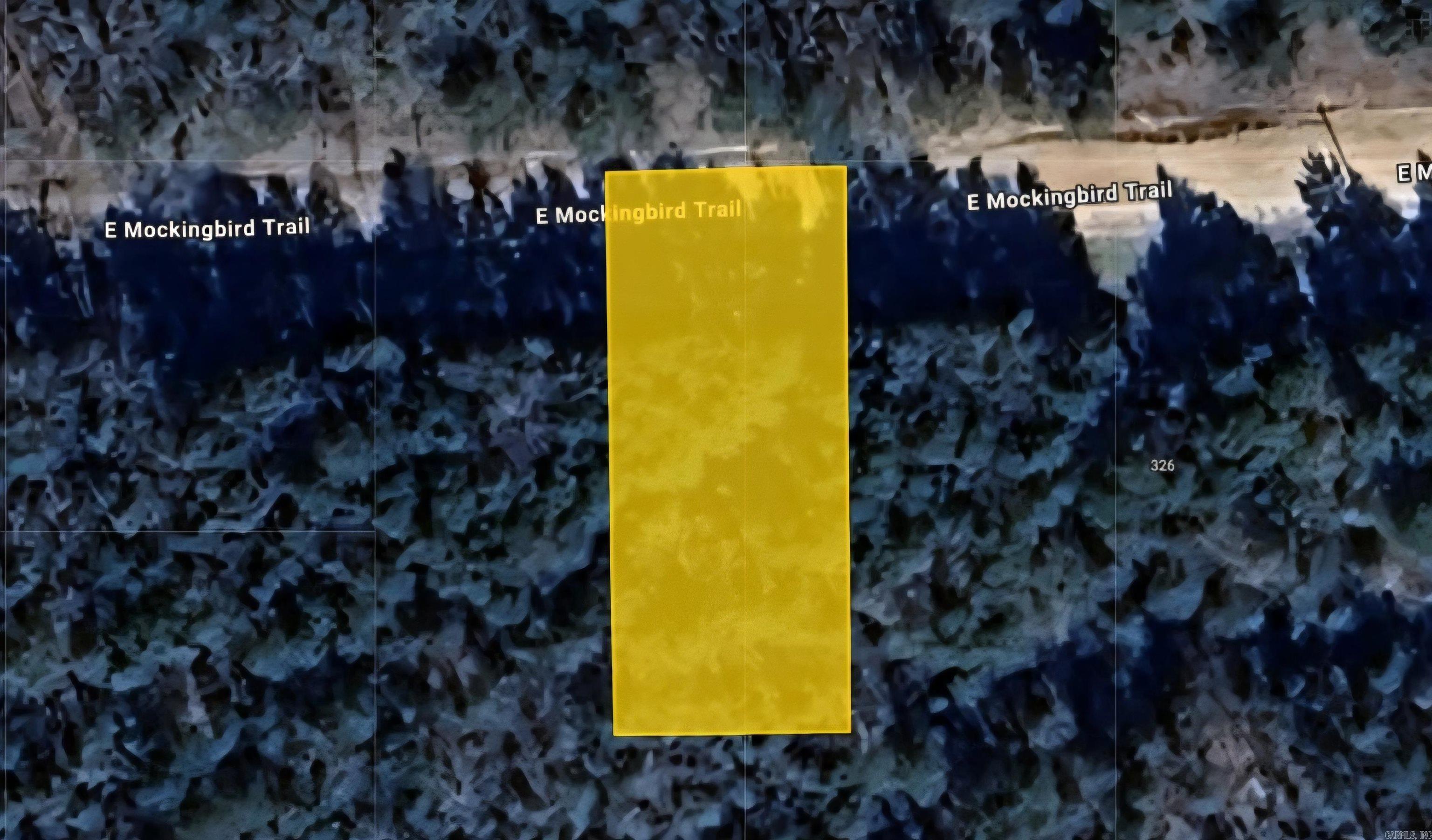 Lot 39 E Mockingbird Trail Property Photo 2