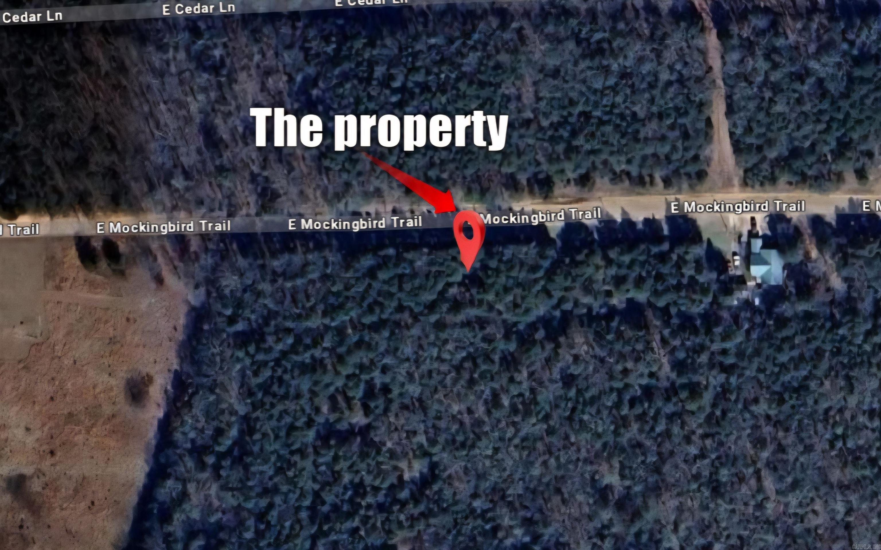 Lot 39 E Mockingbird Trail Property Photo 3