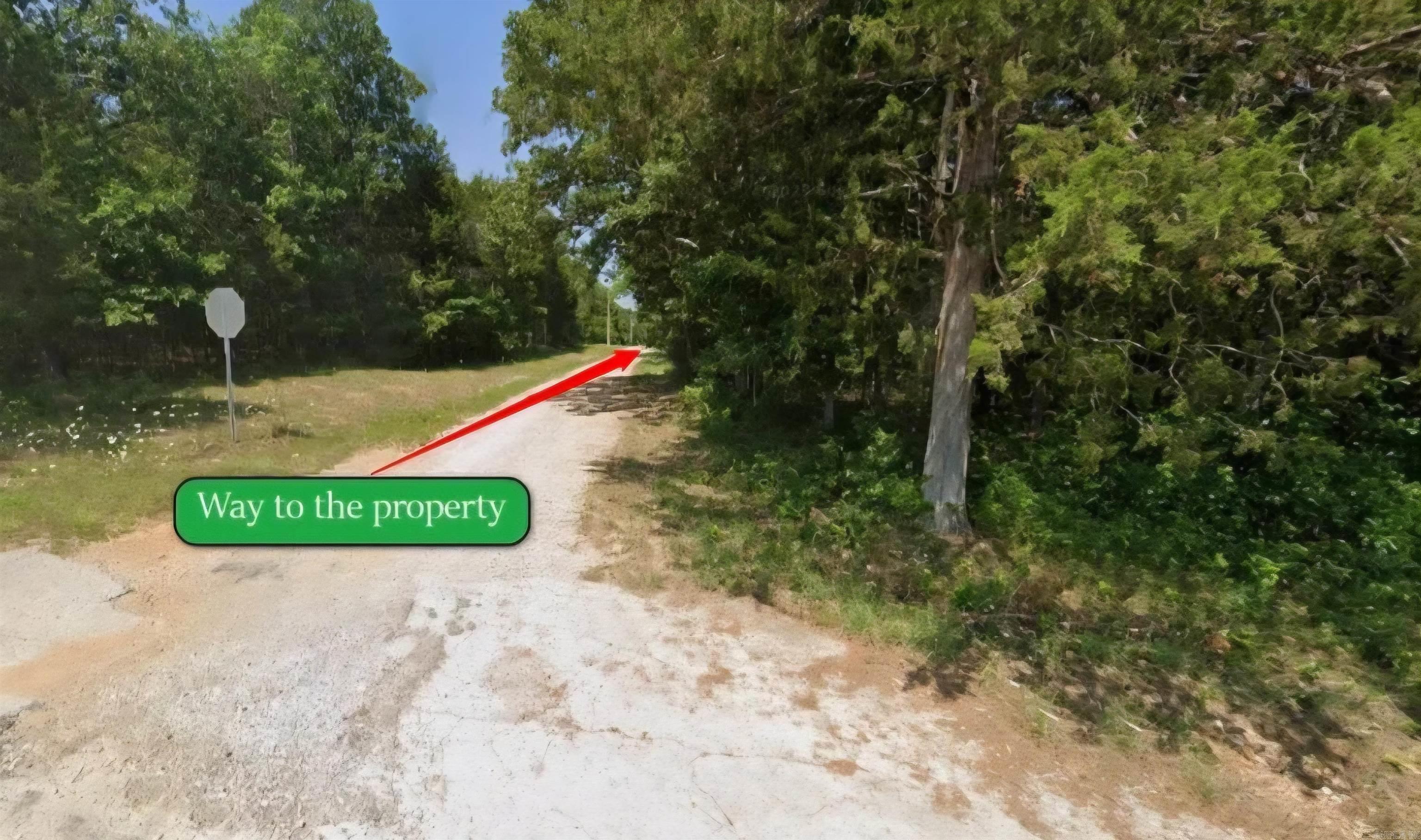 Lot 39 E Mockingbird Trail Property Photo 4