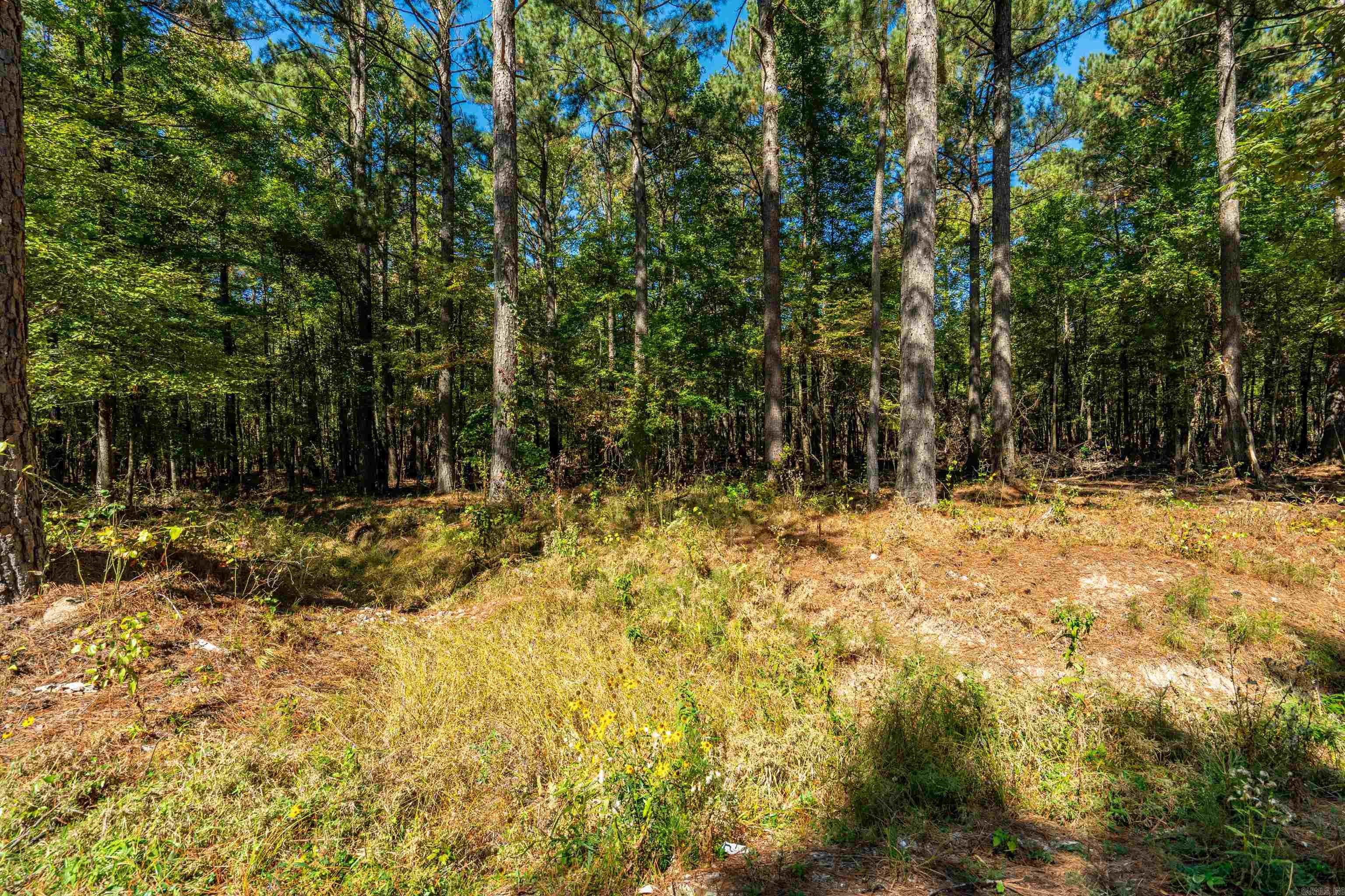 002 Stihl Property Photo 5