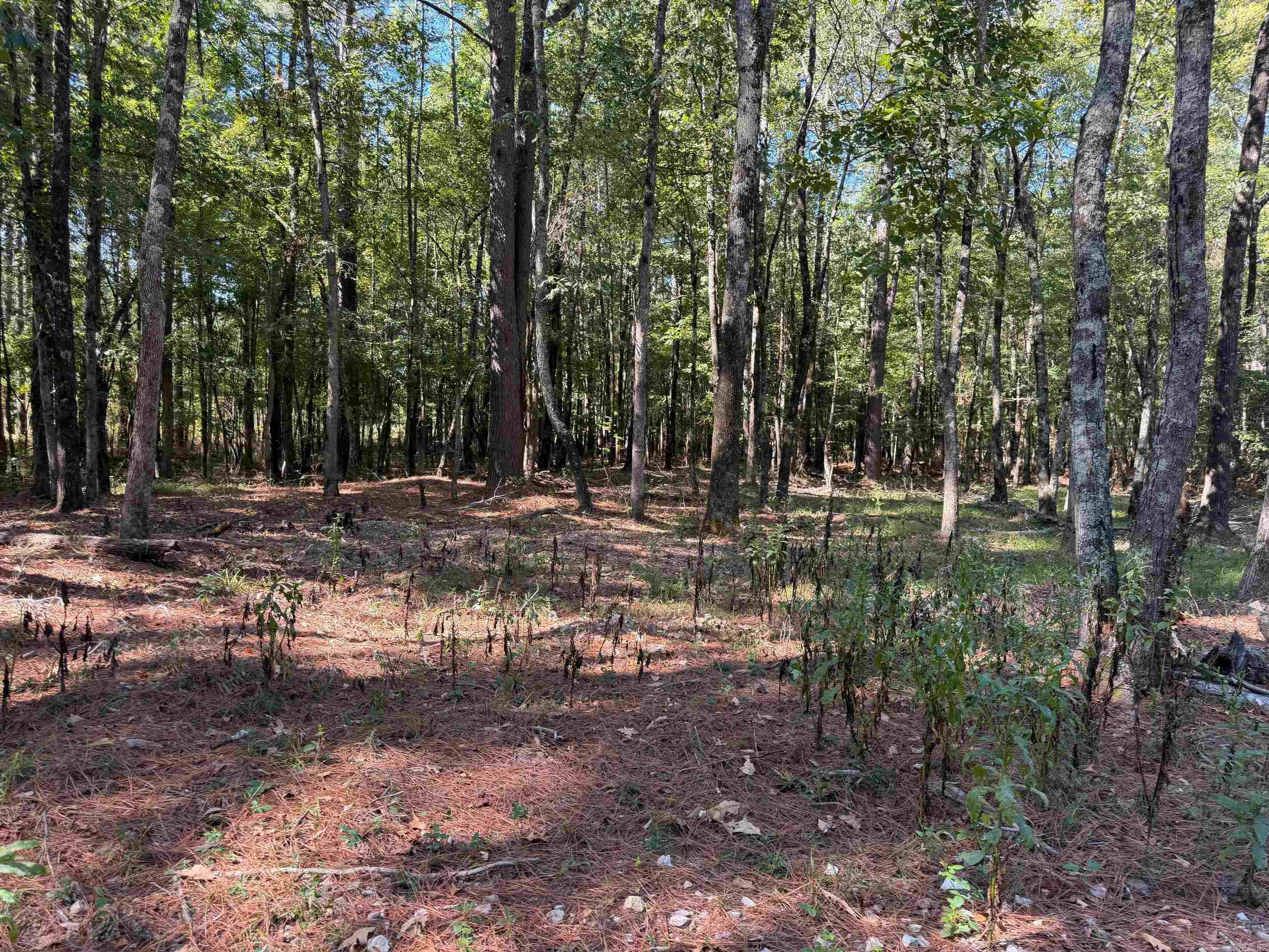 002 Stihl Property Photo 11