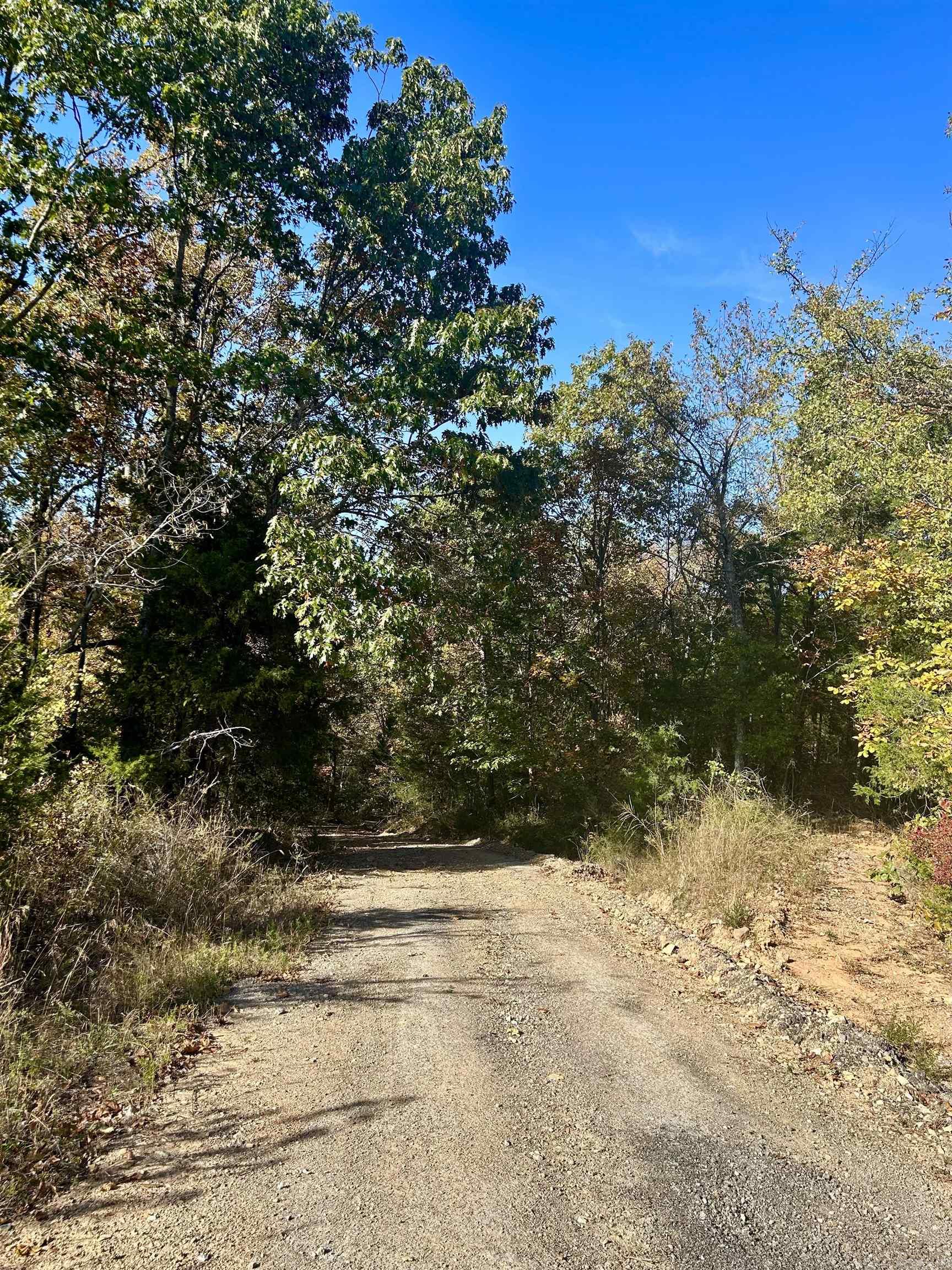 000 Highway 9 South Property Photo 4