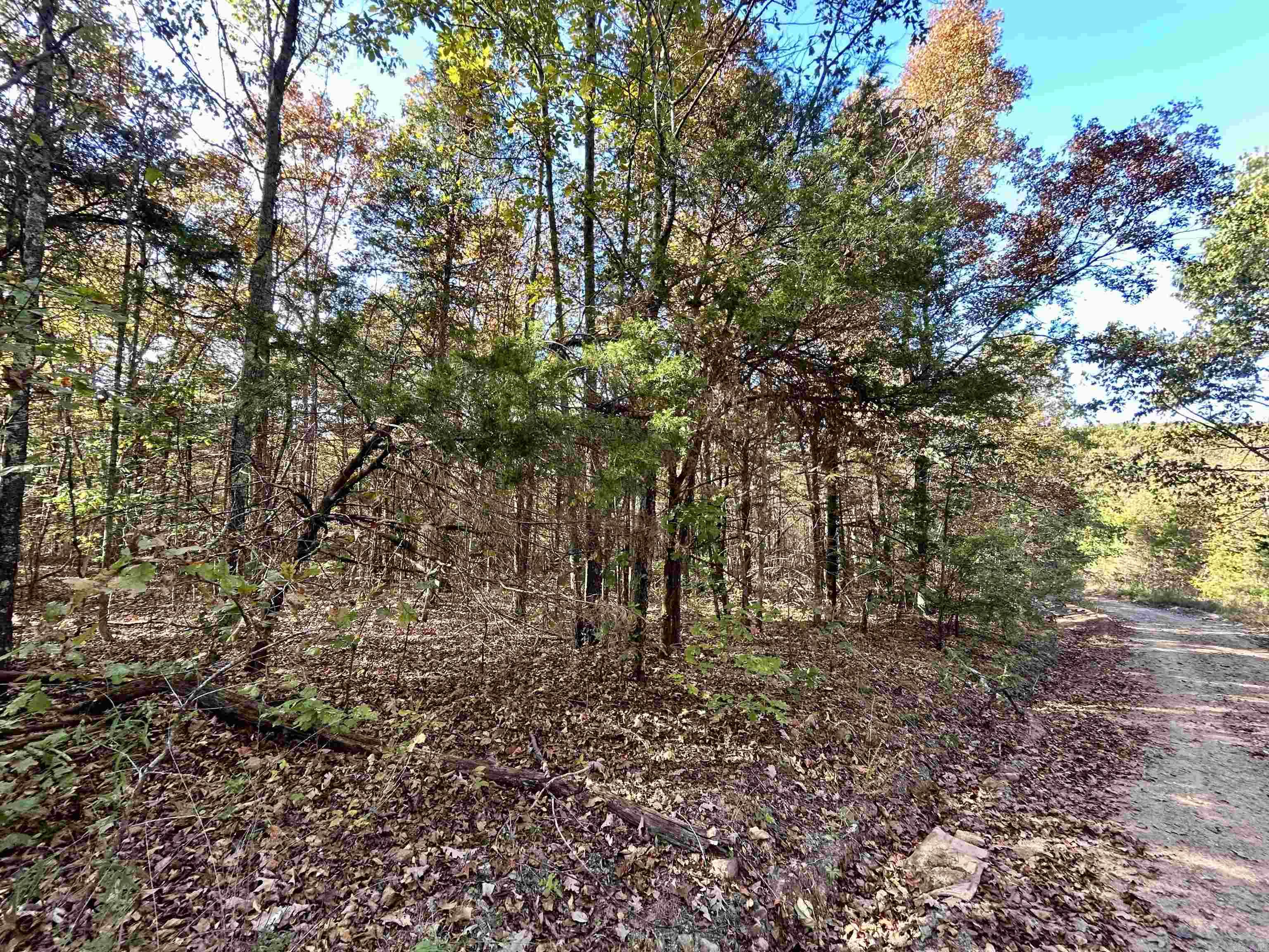000 Highway 9 South Property Photo 6