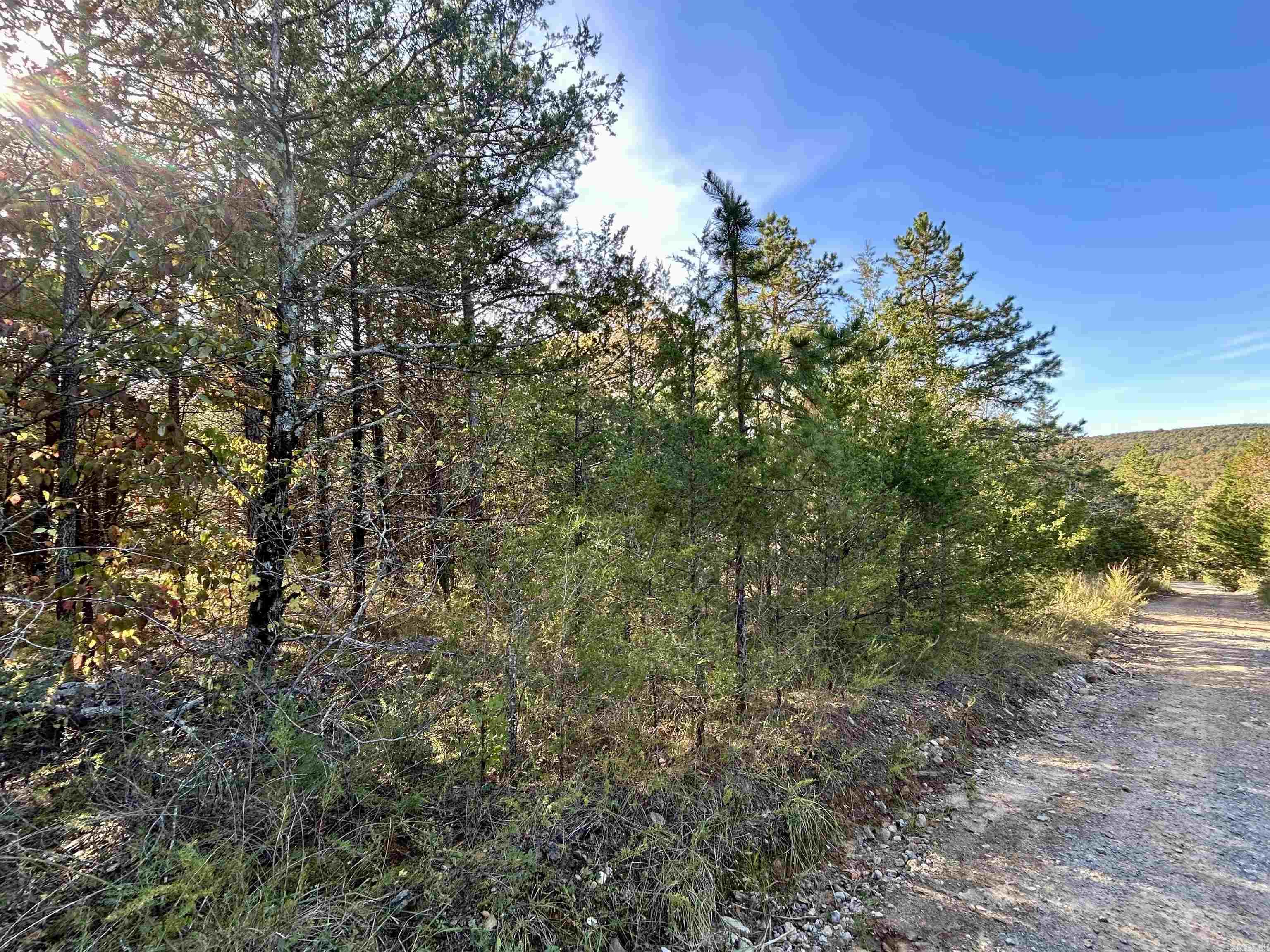 000 Highway 9 South Property Photo 7
