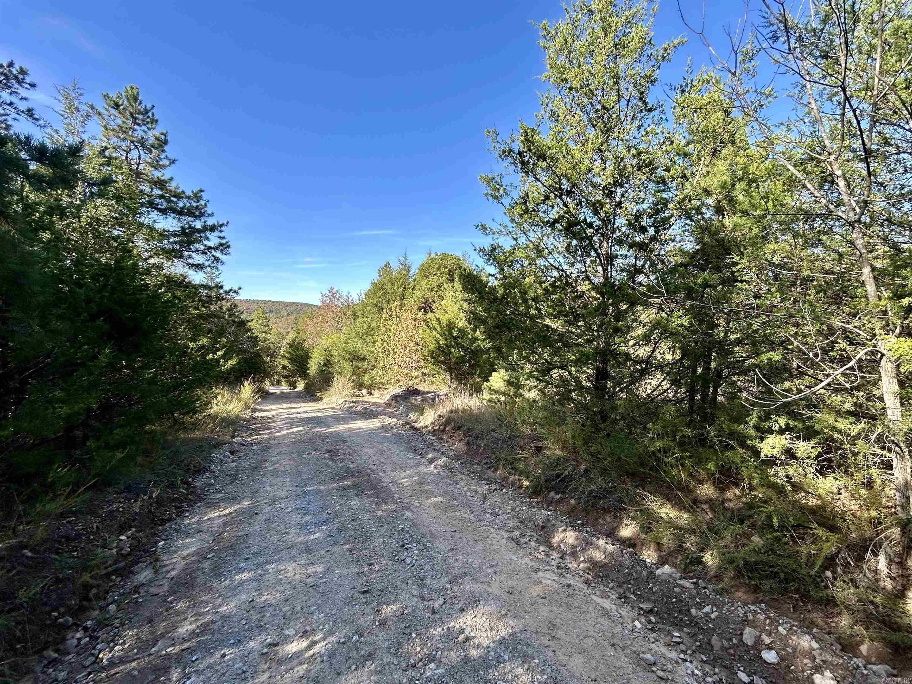 000 Highway 9 South Property Photo 8