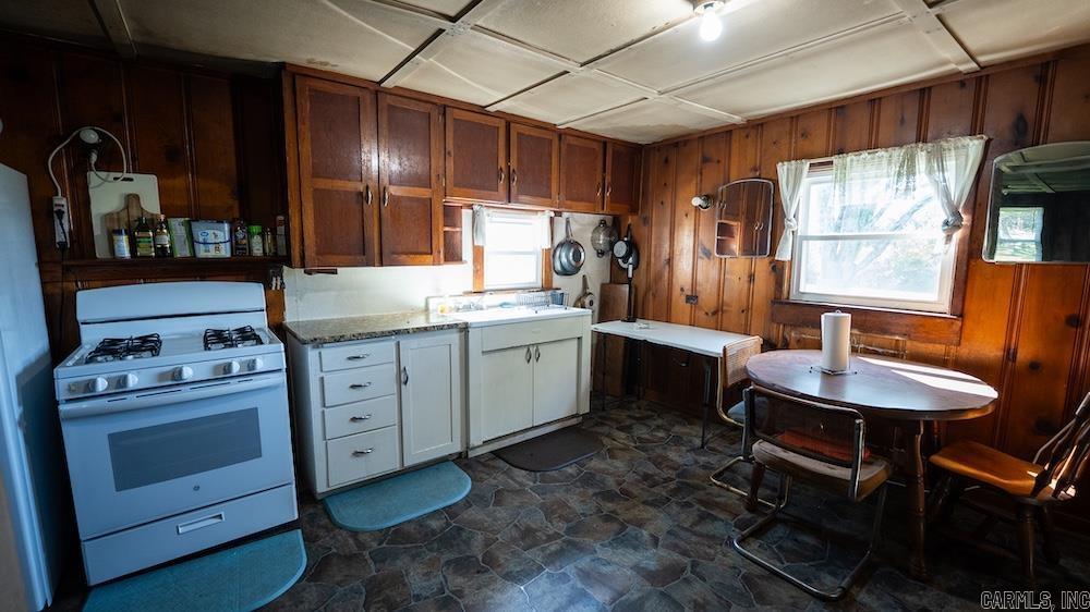 10642 Fancher Drive Property Photo 45