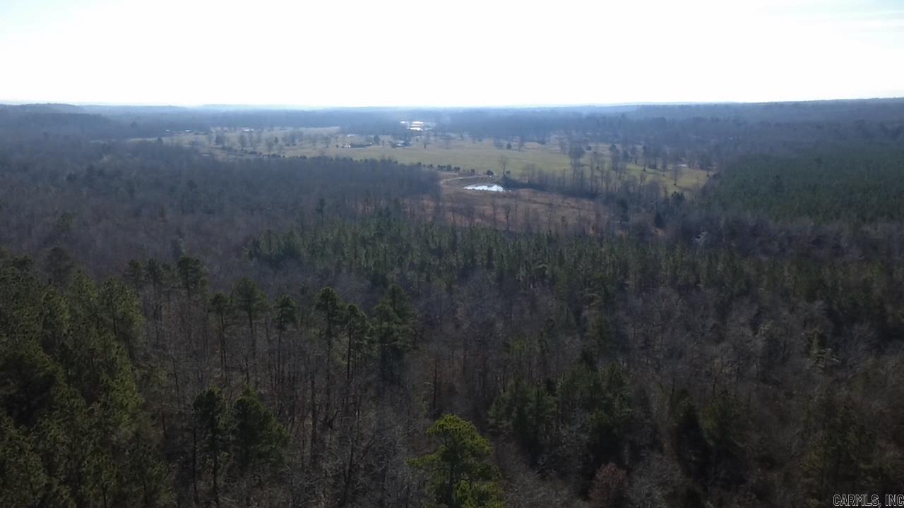 Unk Polk Road 90 Property Photo 14