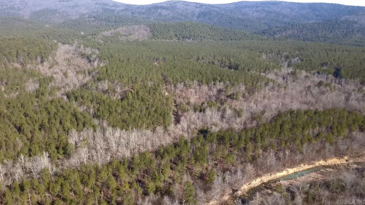 Unk Polk Road 90 Property Photo 16