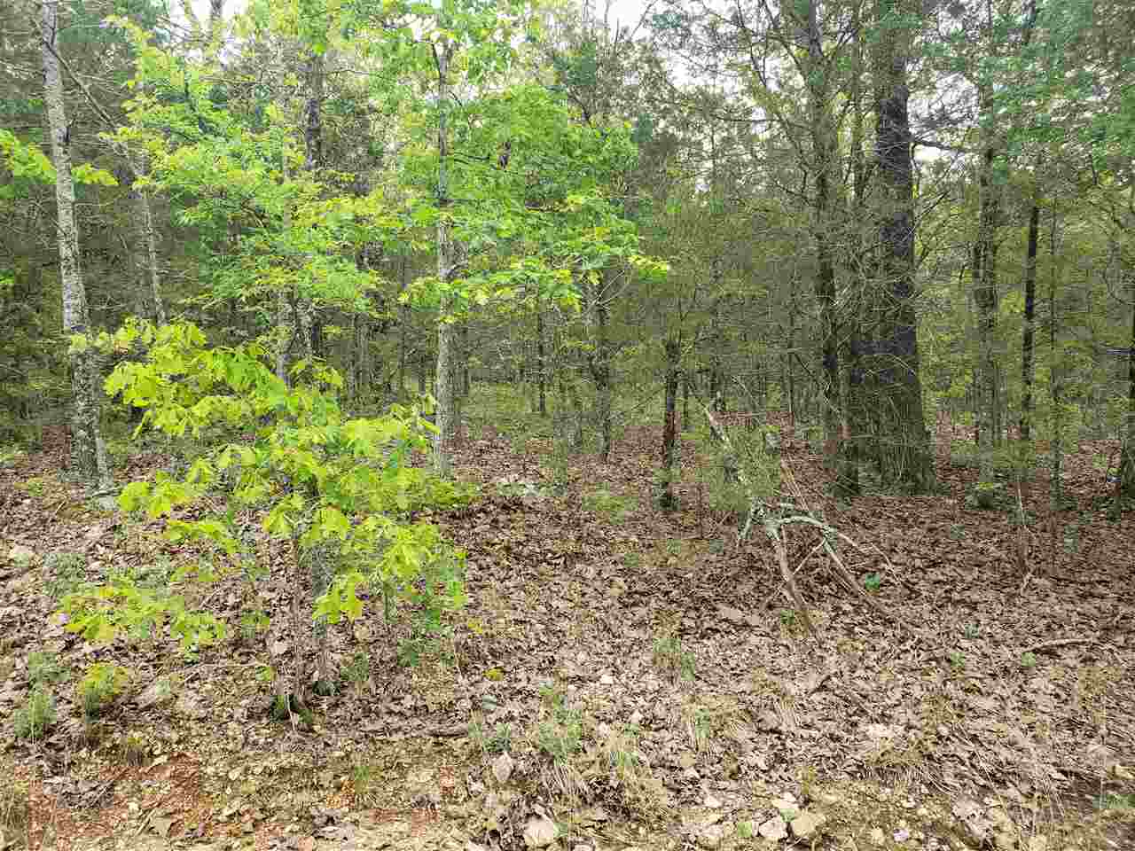 L-9 B-10 Pahokee Drive Property Photo 18