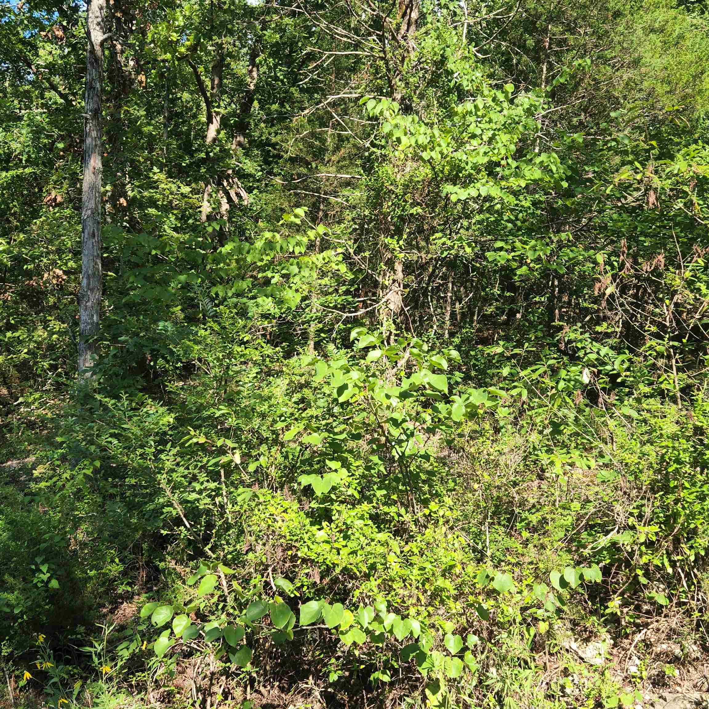L-12 B-8 Choctaw Drive Property Photo 4