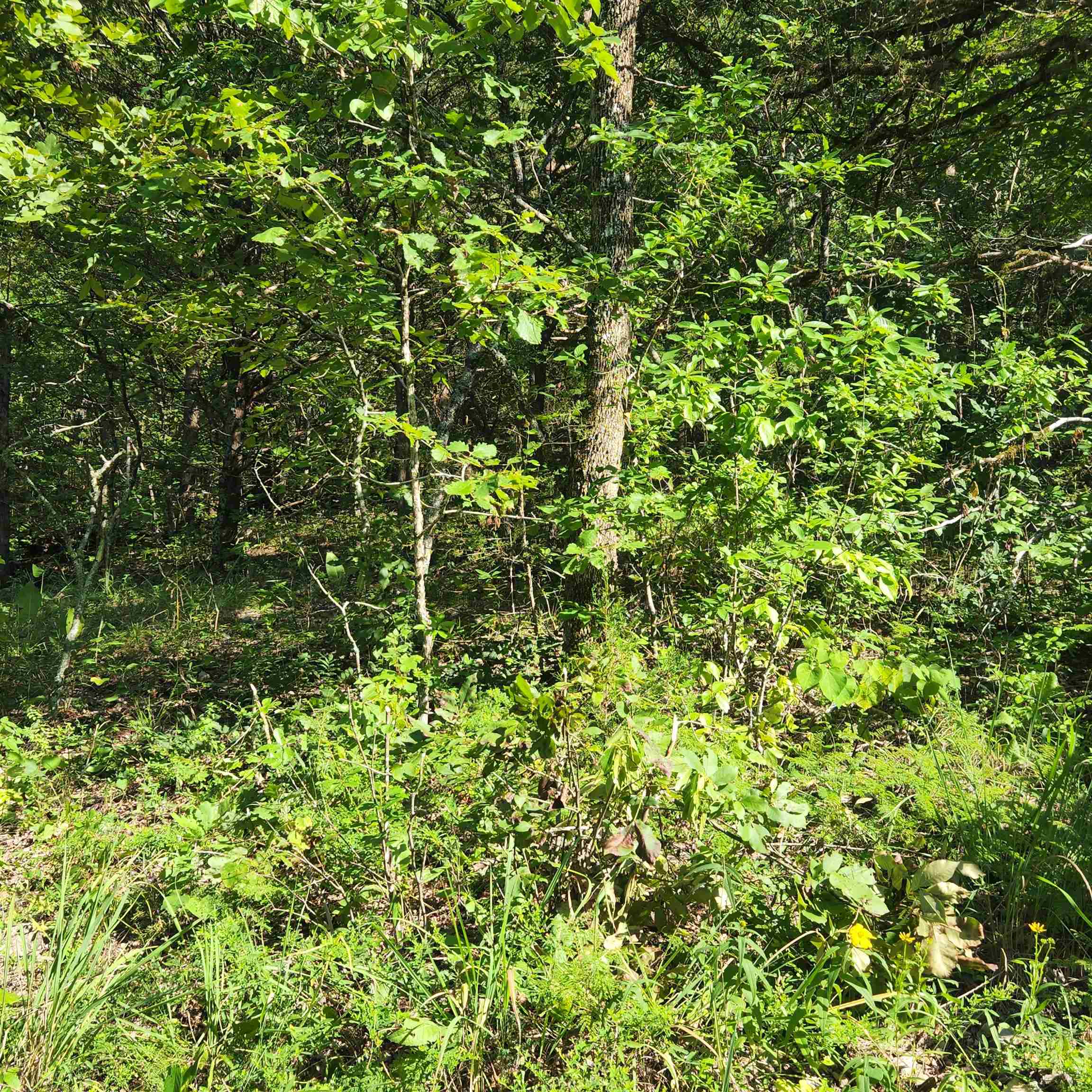 L-12 B-8 Choctaw Drive Property Photo 10