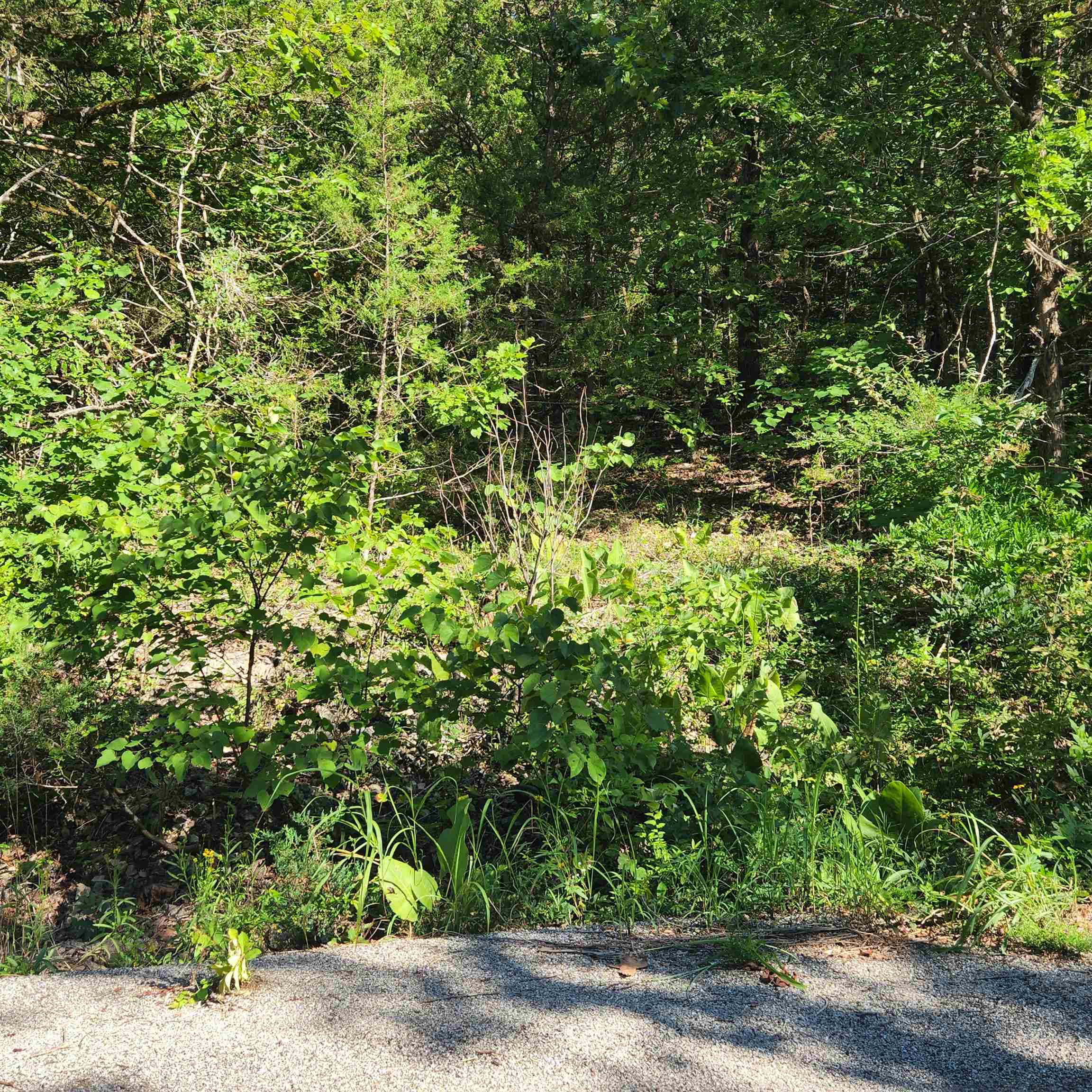 L-12 B-8 Choctaw Drive Property Photo 11