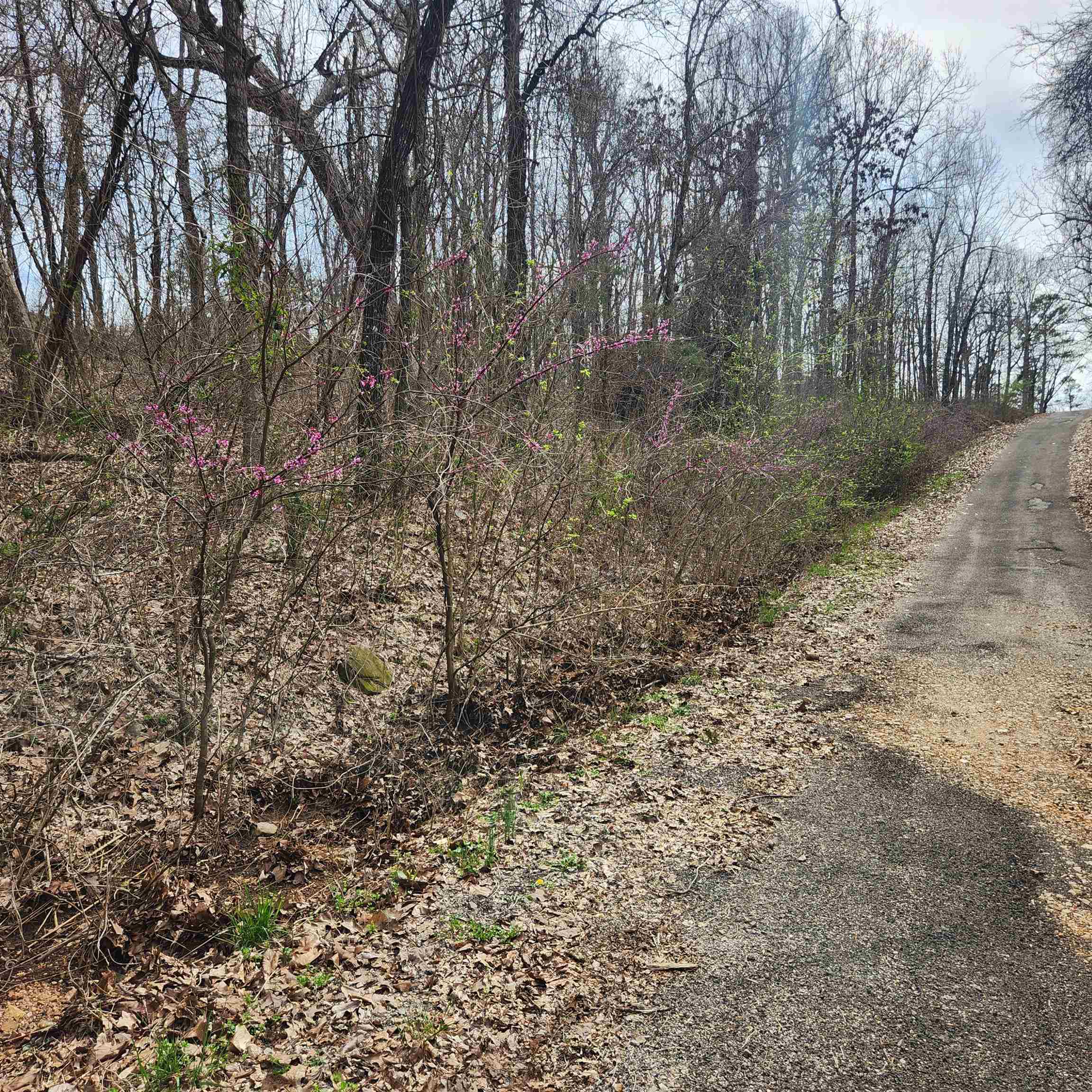 L-15, B-9 Choctaw Drive Property Photo 6