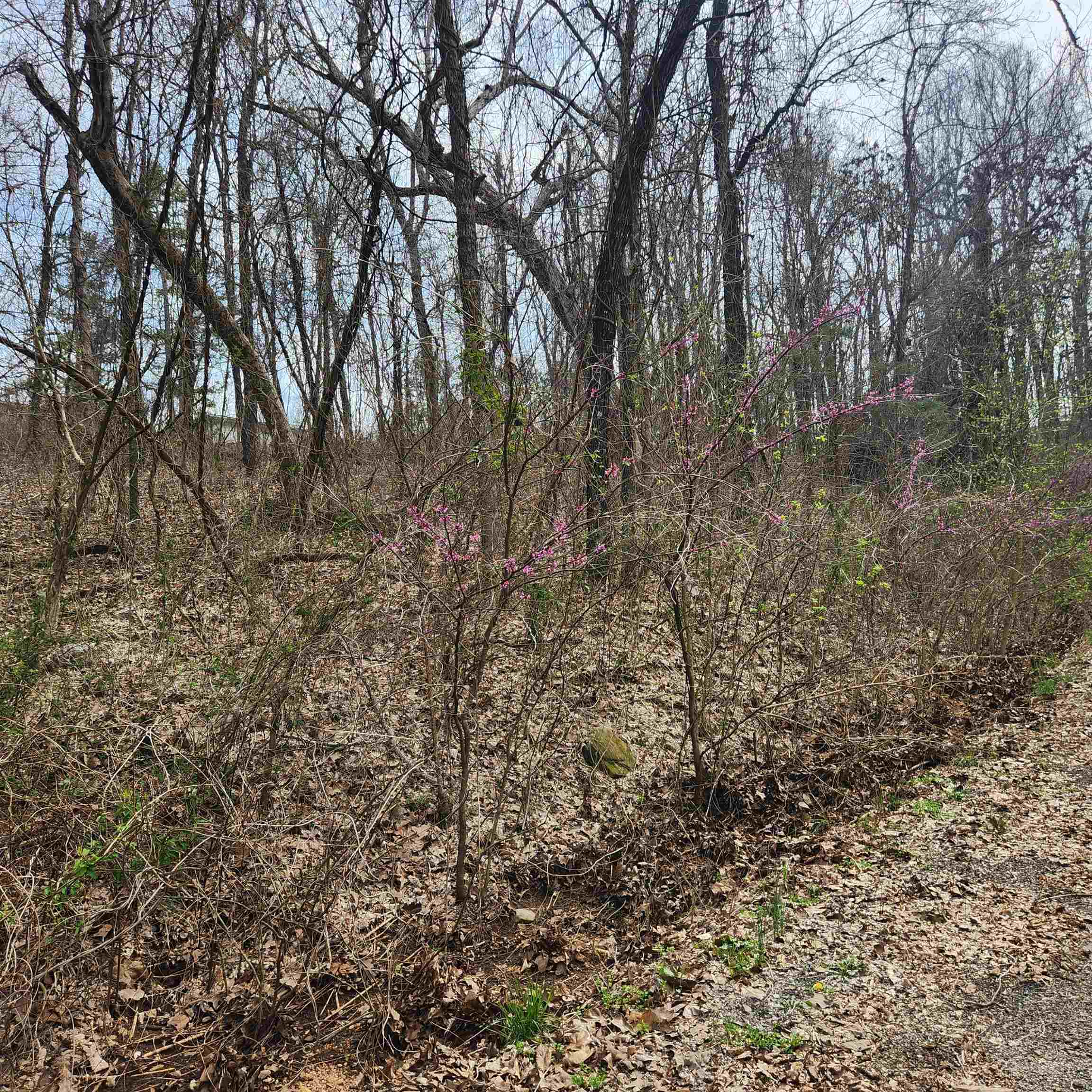 L-15, B-9 Choctaw Drive Property Photo 7