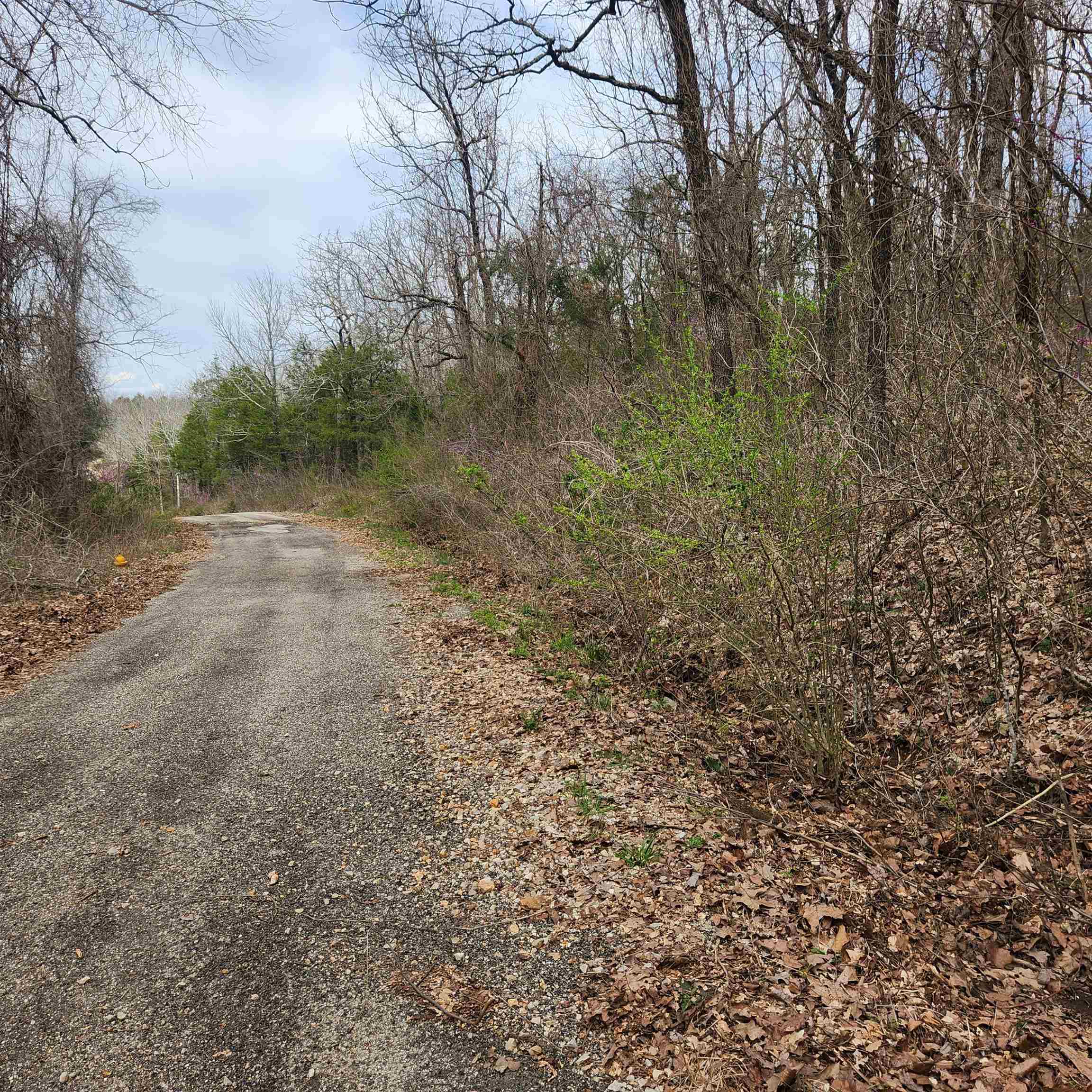 L-15, B-9 Choctaw Drive Property Photo 8