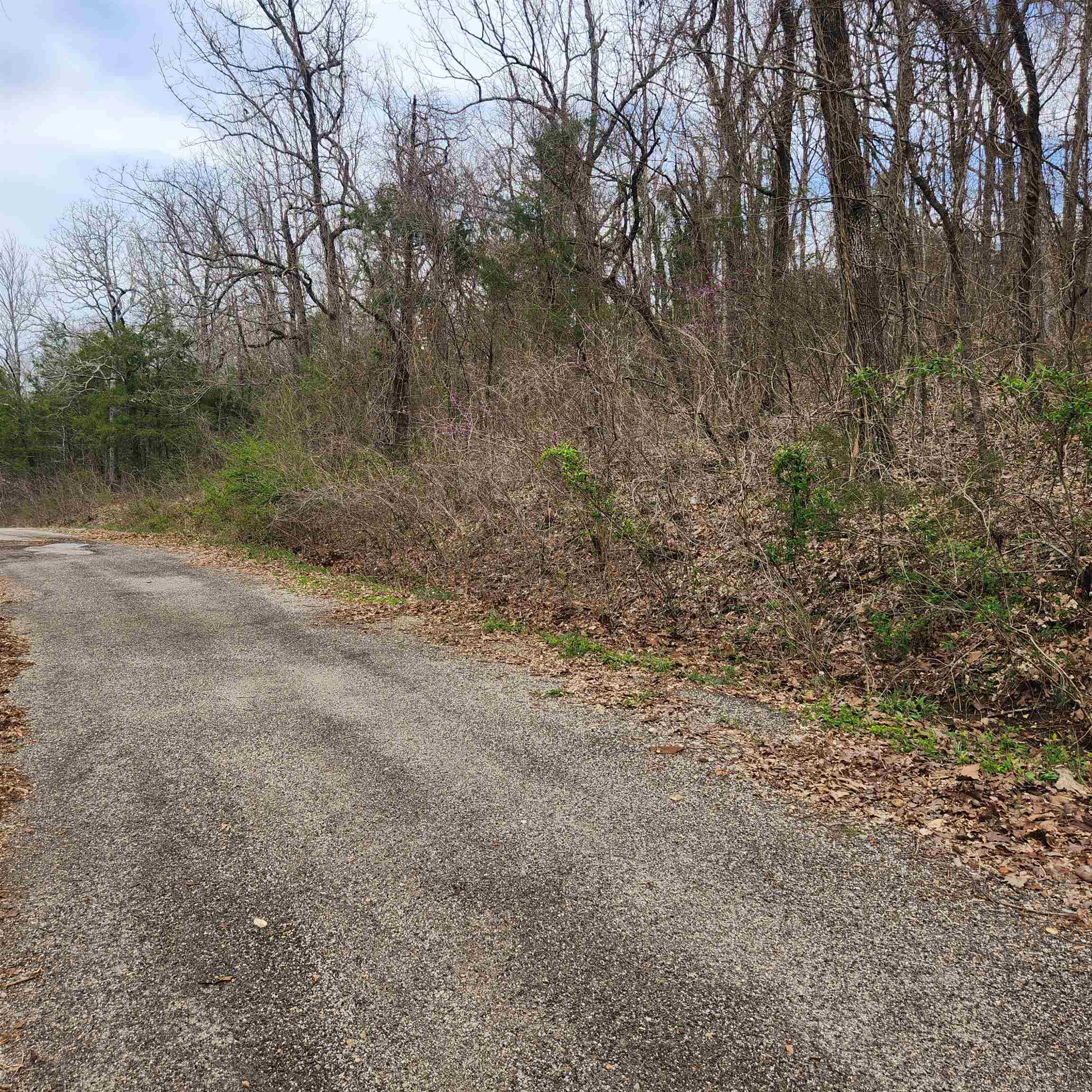 L-15, B-9 Choctaw Drive Property Photo 10