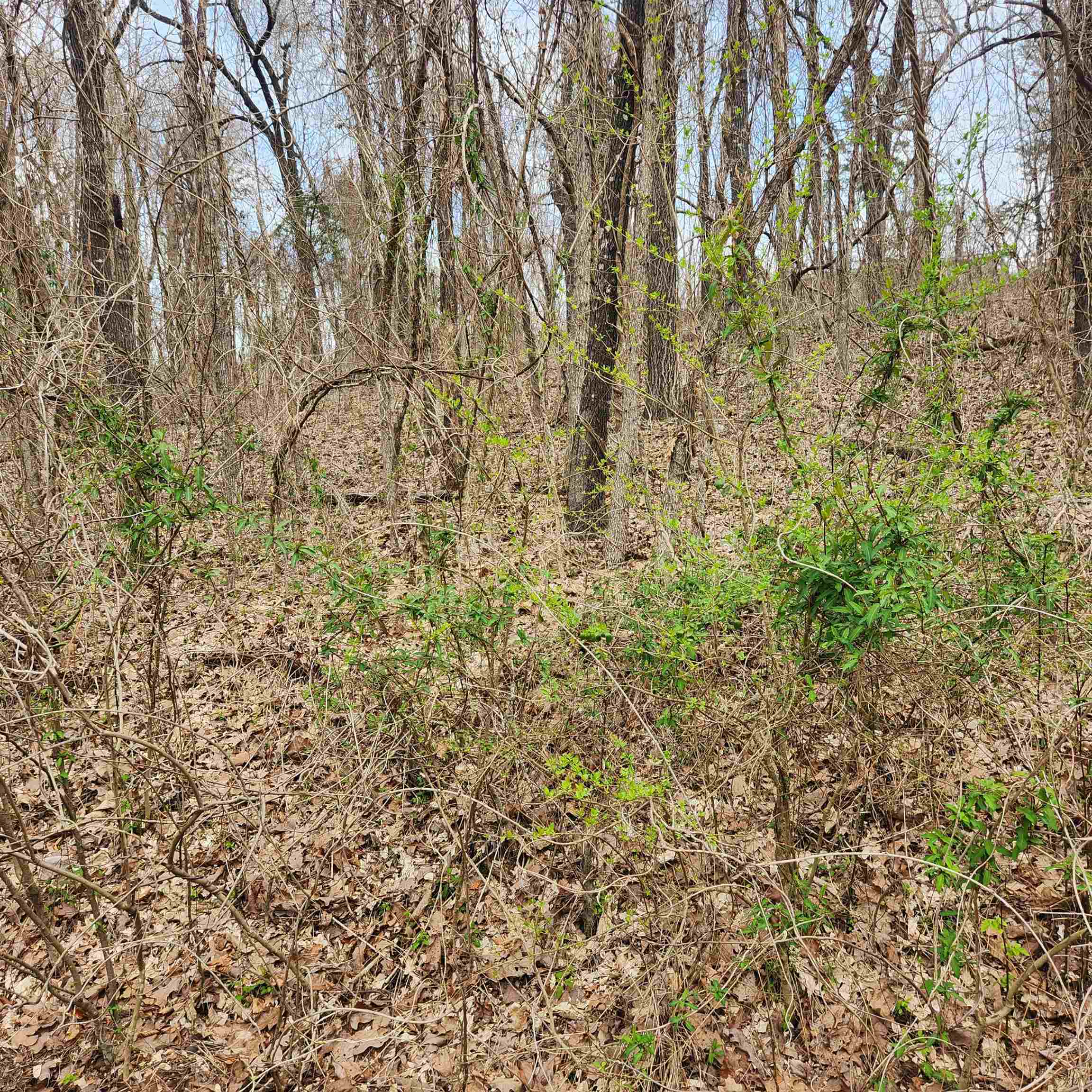 L-15, B-9 Choctaw Drive Property Photo 11