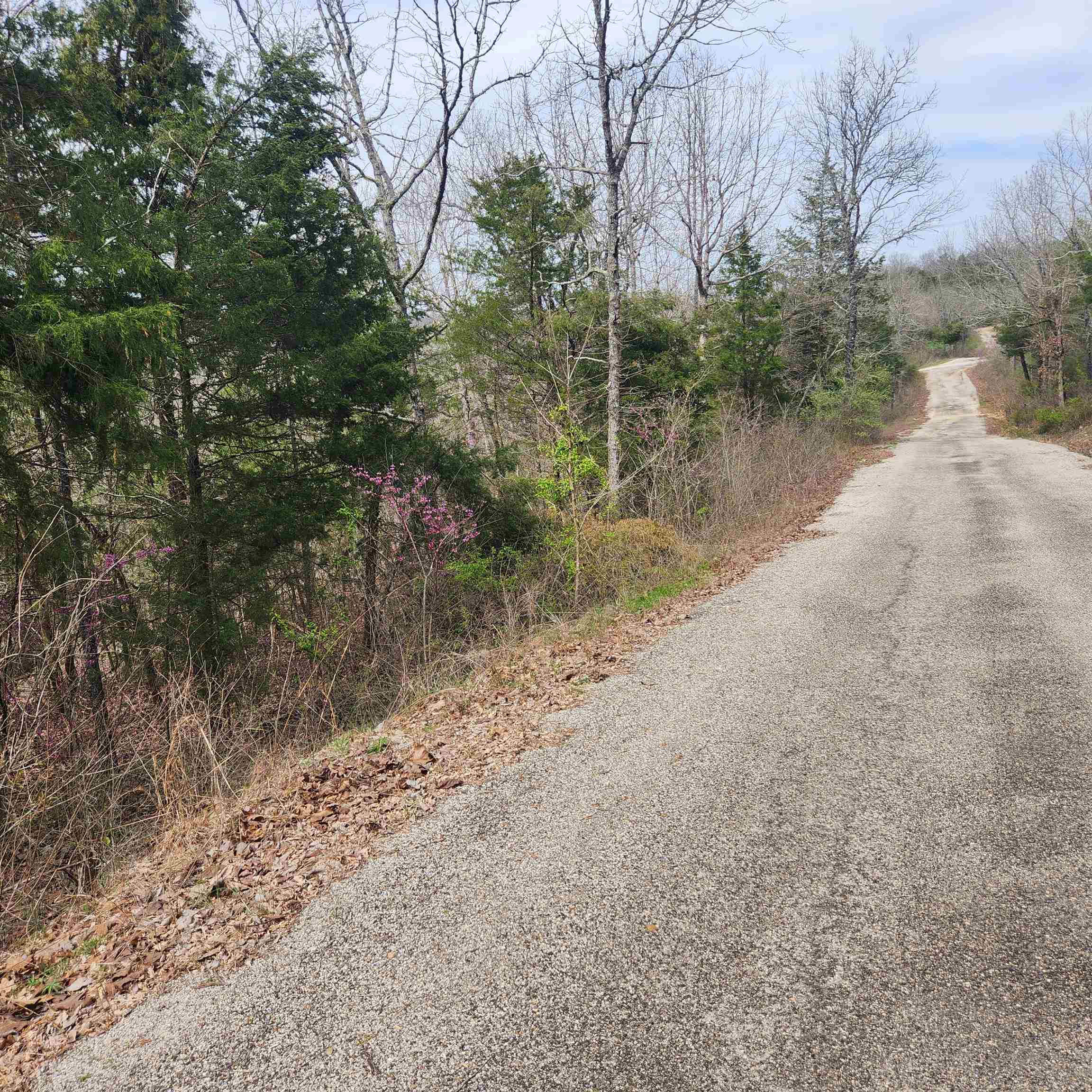L-8, B-11 Choctaw Drive Property Photo 6