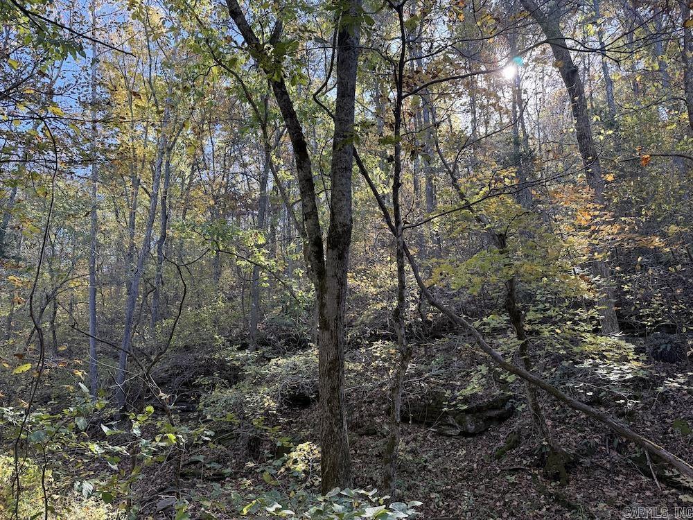 Cr 939 Property Photo 2