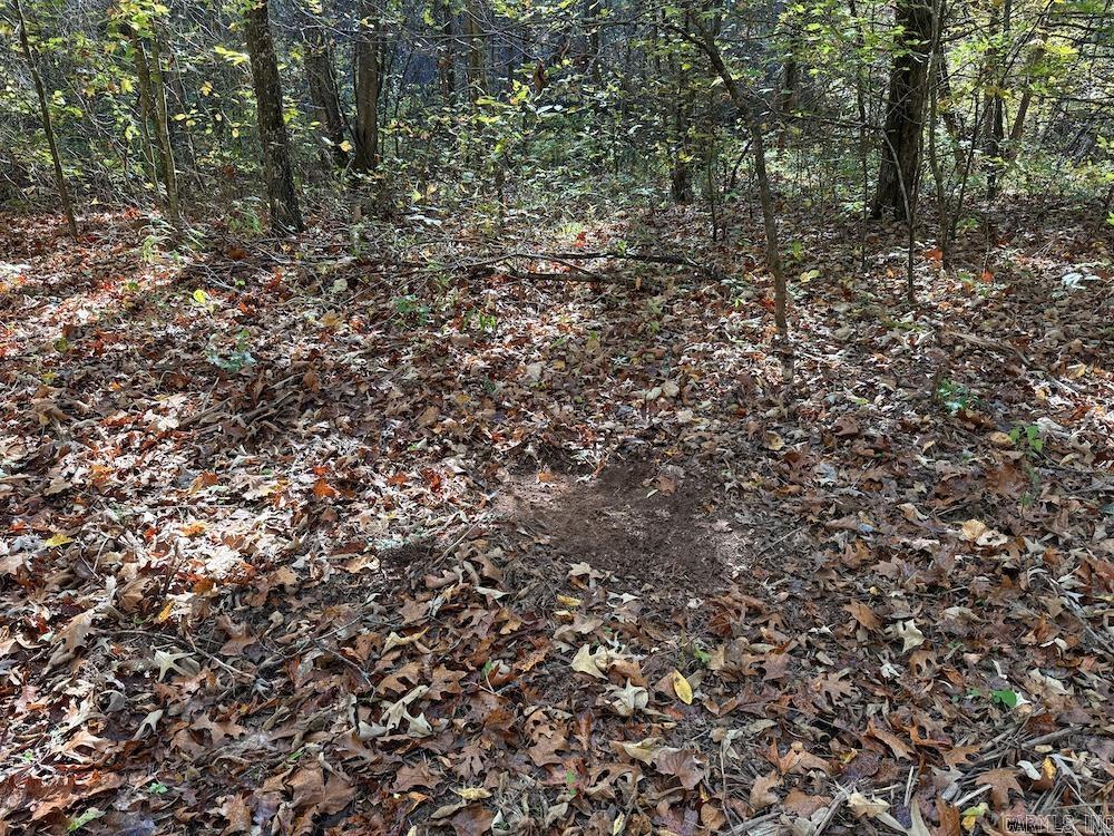 Cr 939 Property Photo 8