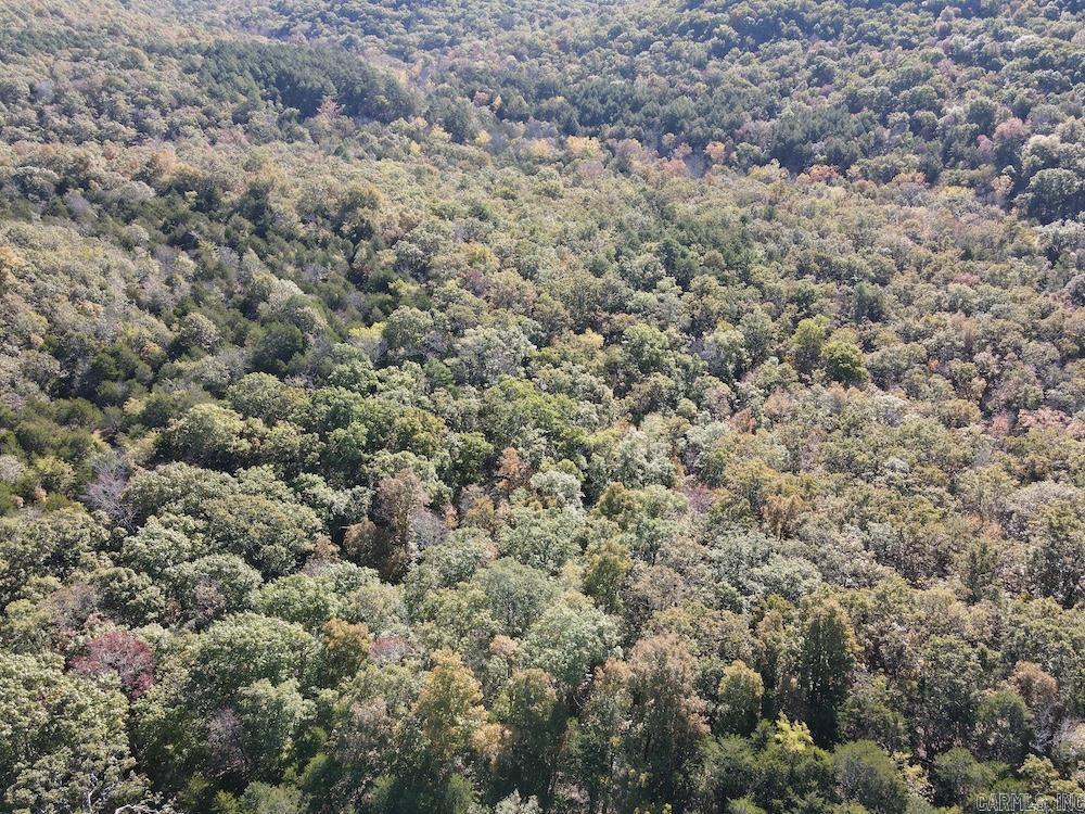 Cr 939 Property Photo 33