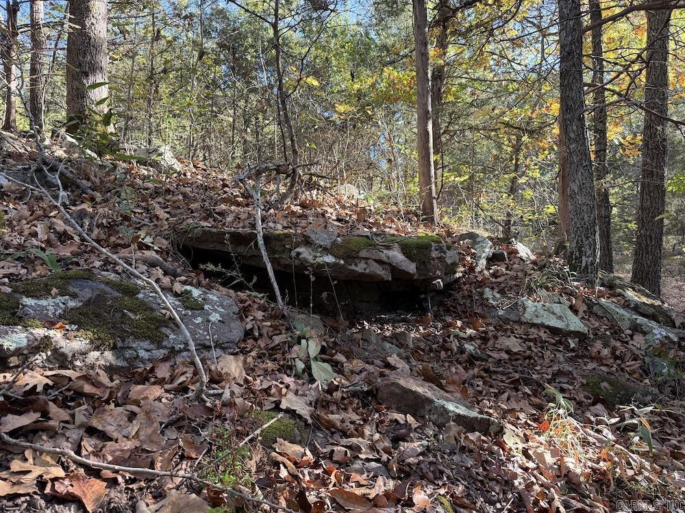 Cr 939 Property Photo 40