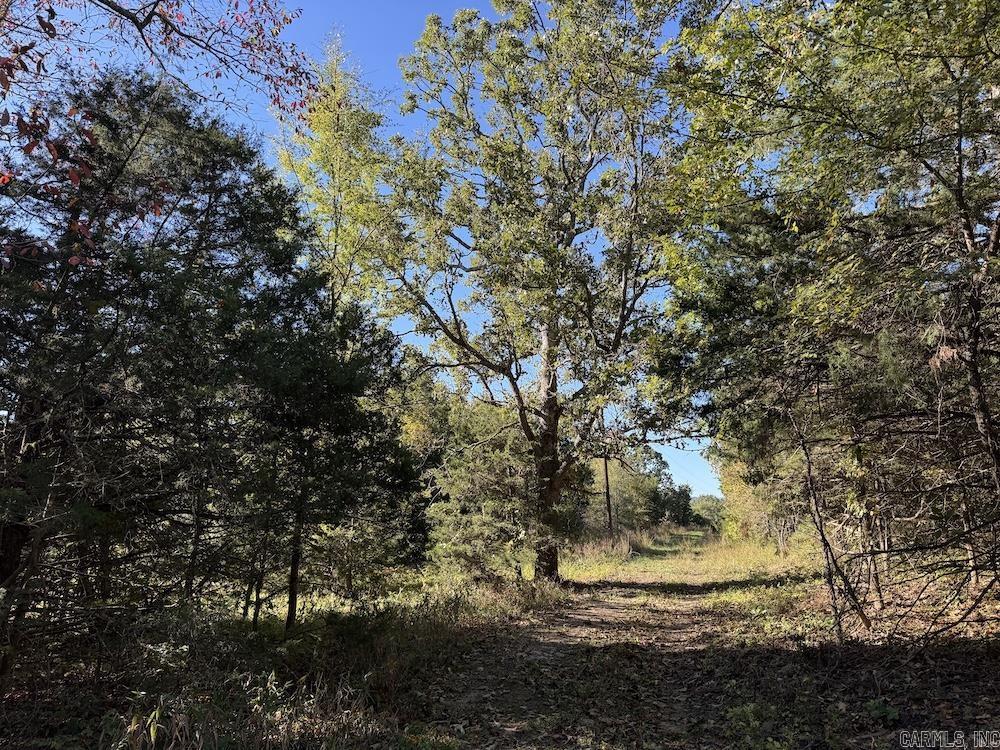 Cr 939 Property Photo 43
