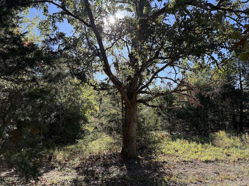 Cr 939 Property Photo 46