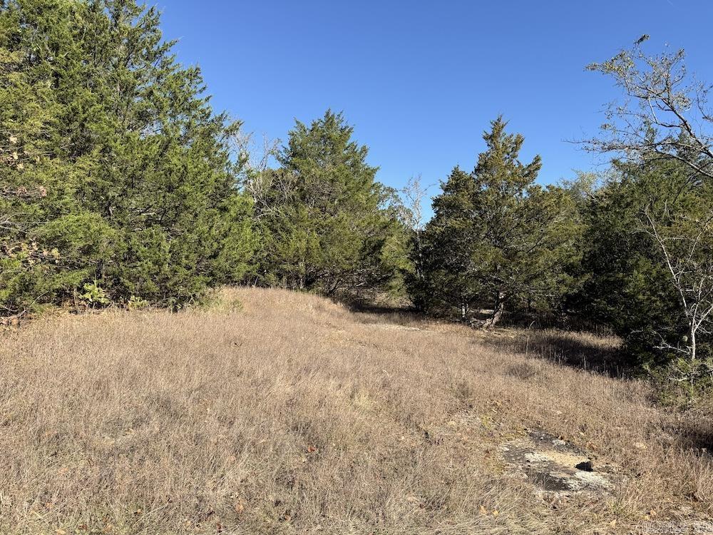 Cr 939 Property Photo 48