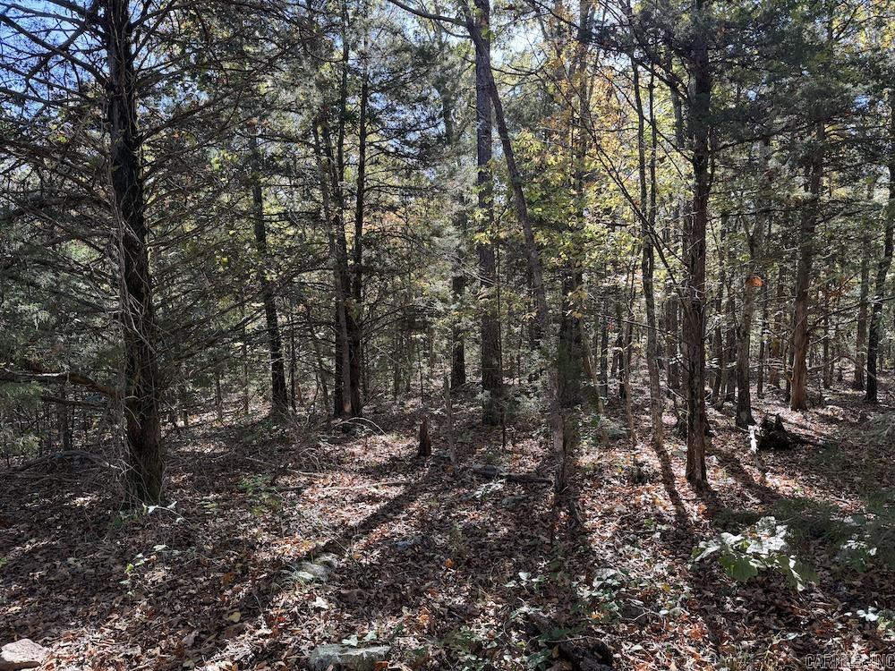 Cr 939 Property Photo 50
