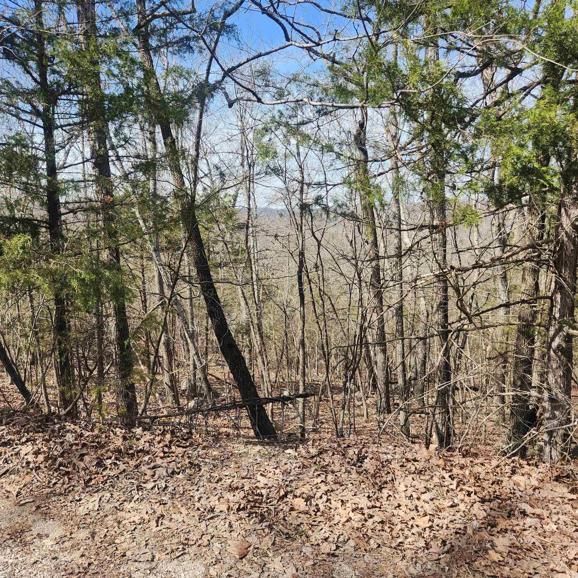 L-6, B-4 Tomahawk Drive Property Photo 1