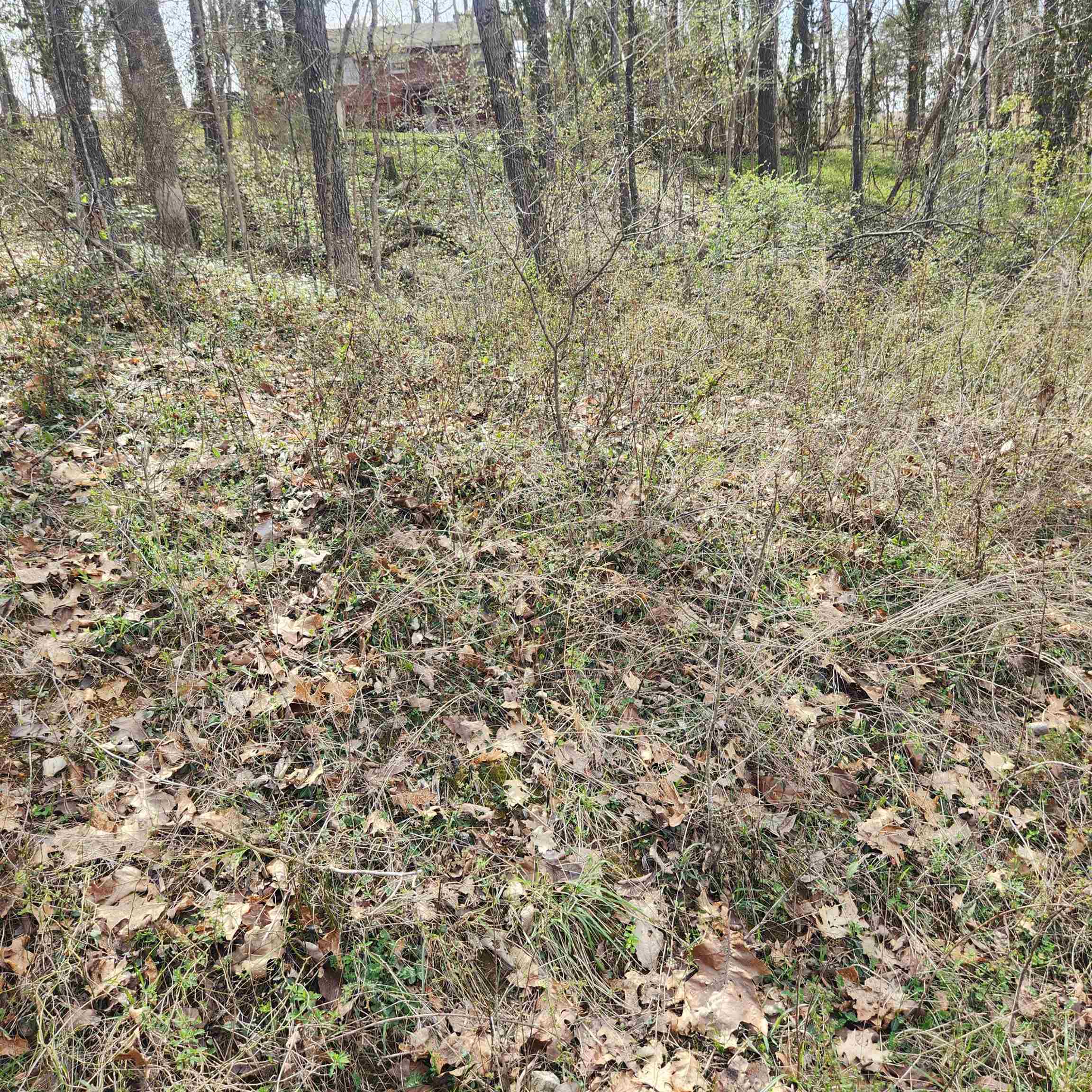 L-6, B-4 Tomahawk Drive Property Photo 2