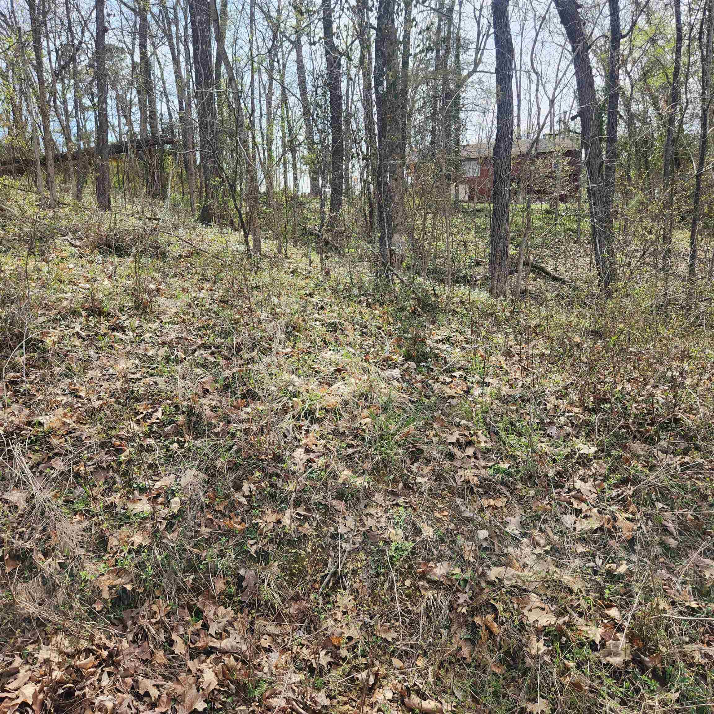 L-6, B-4 Tomahawk Drive Property Photo 3