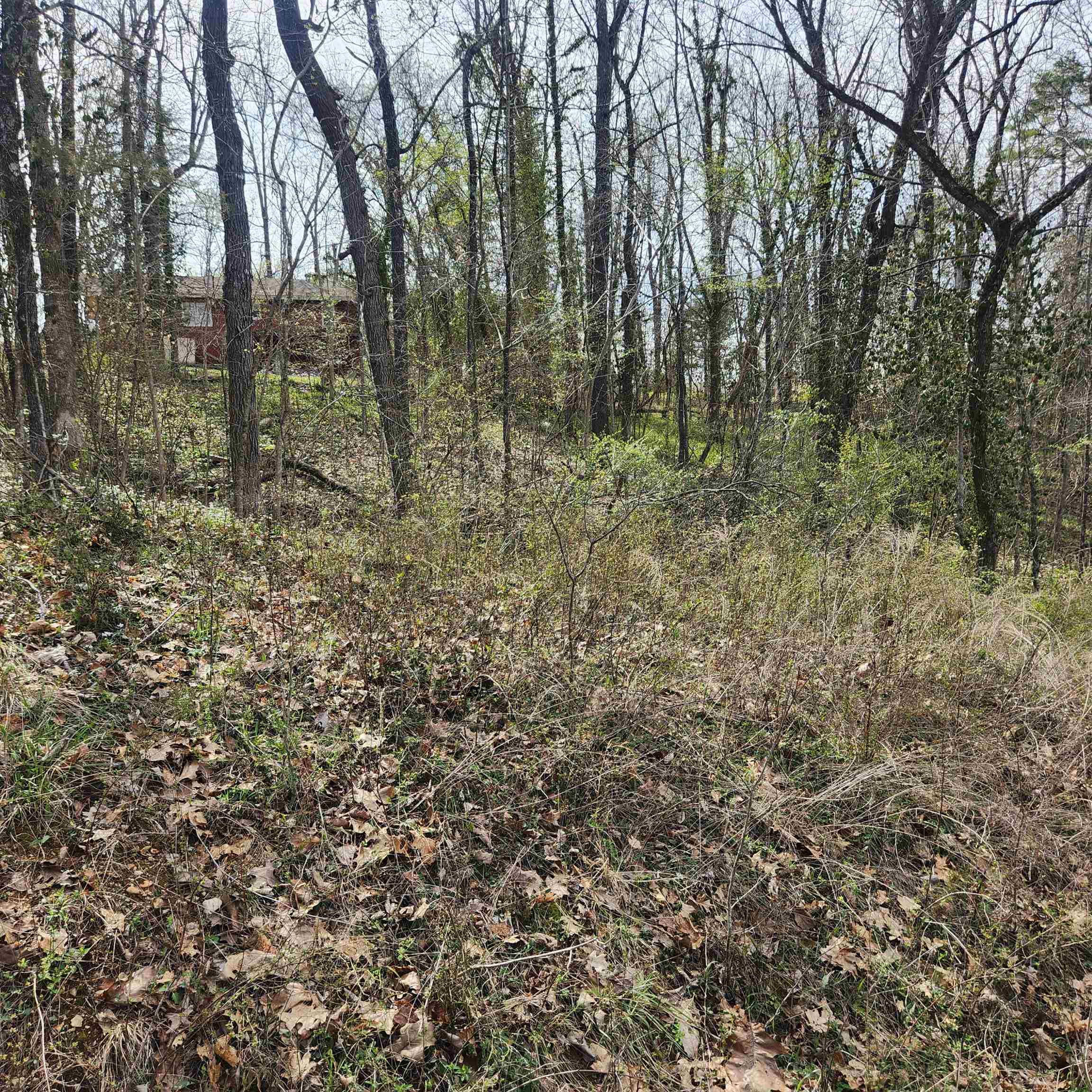 L-6, B-4 Tomahawk Drive Property Photo 4