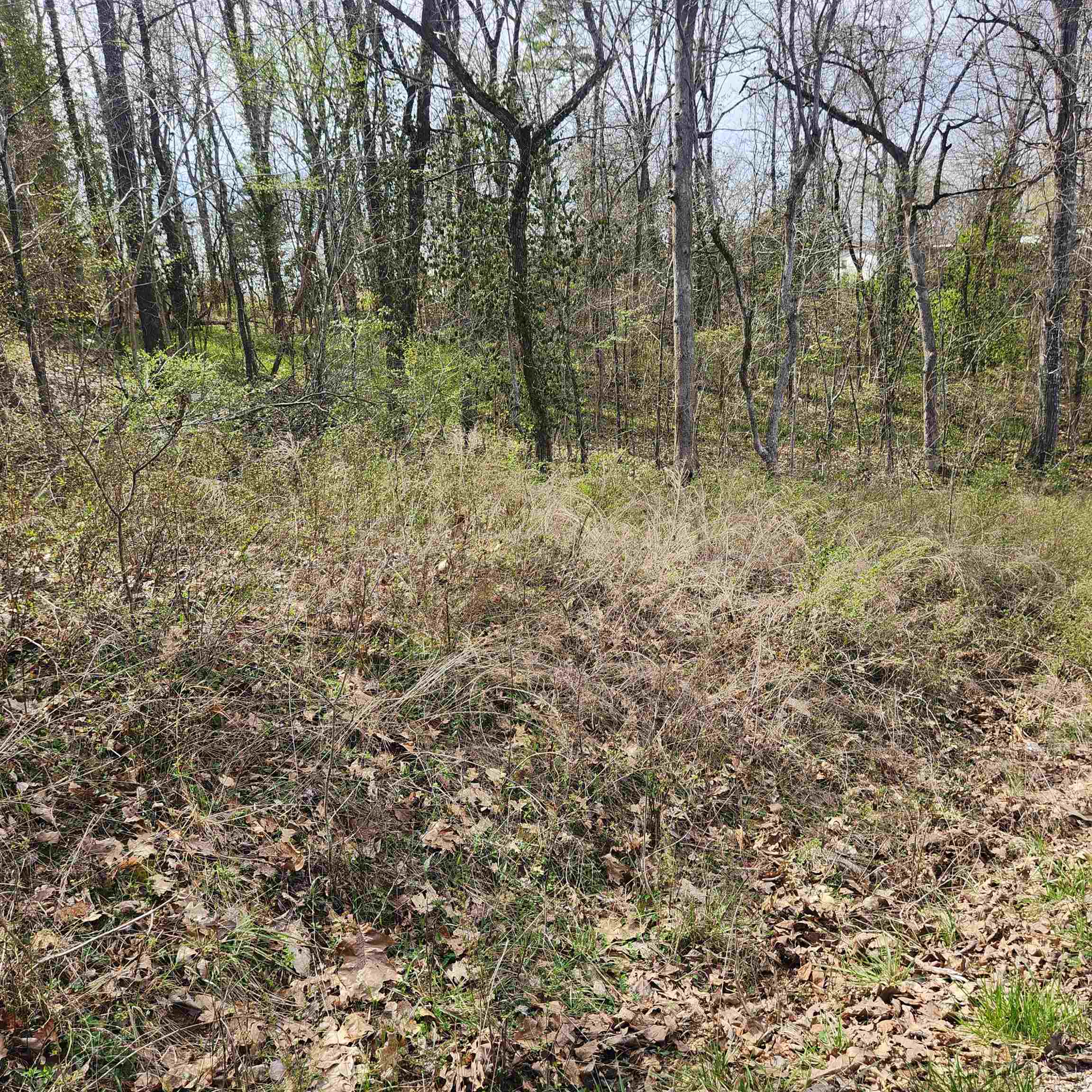 L-6, B-4 Tomahawk Drive Property Photo 5