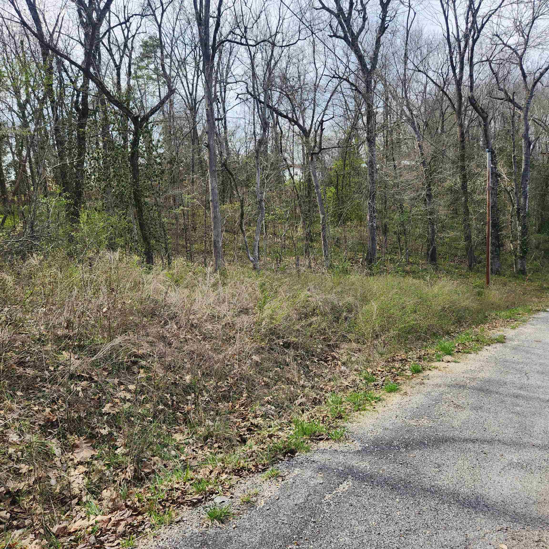 L-6, B-4 Tomahawk Drive Property Photo 7