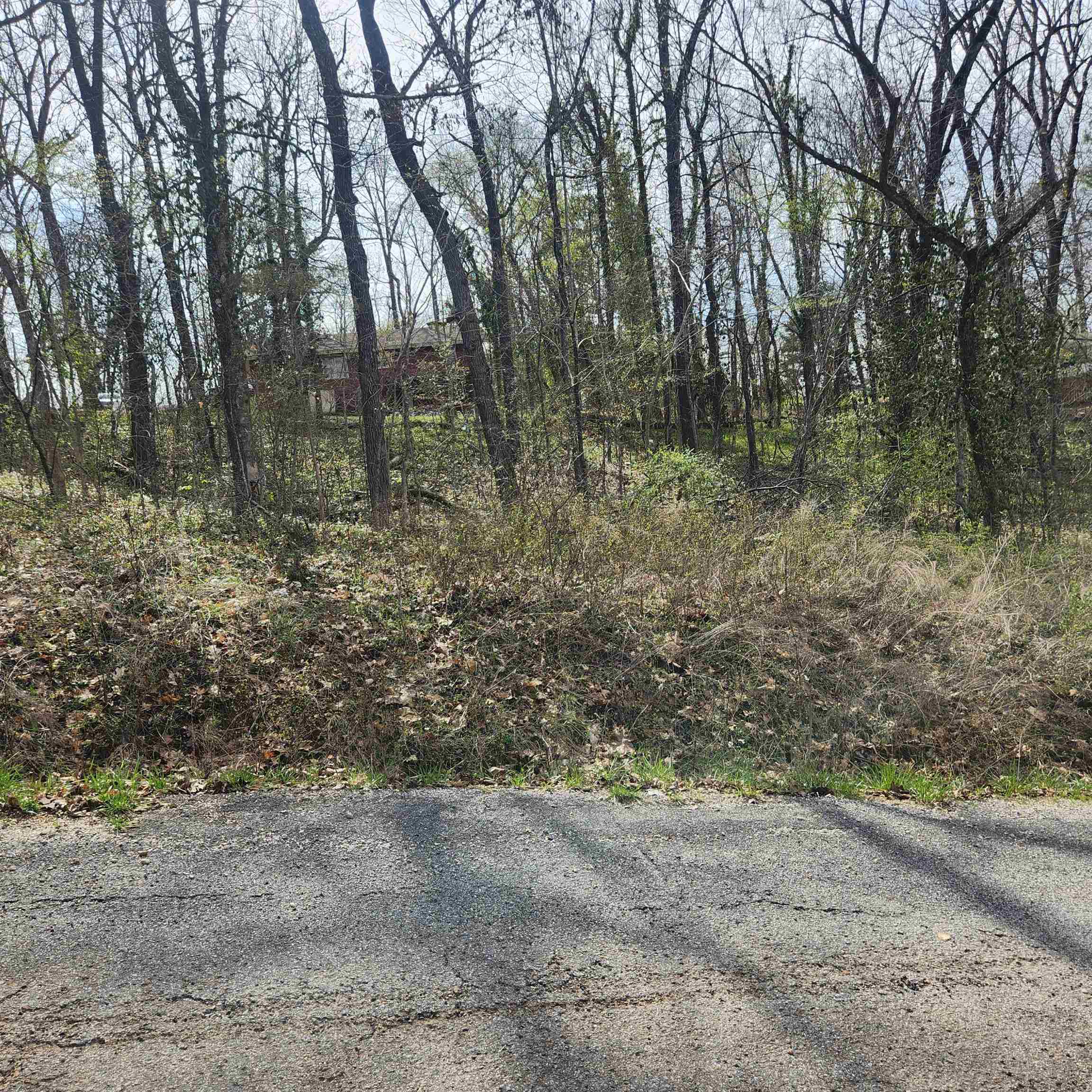 L-6, B-4 Tomahawk Drive Property Photo 8